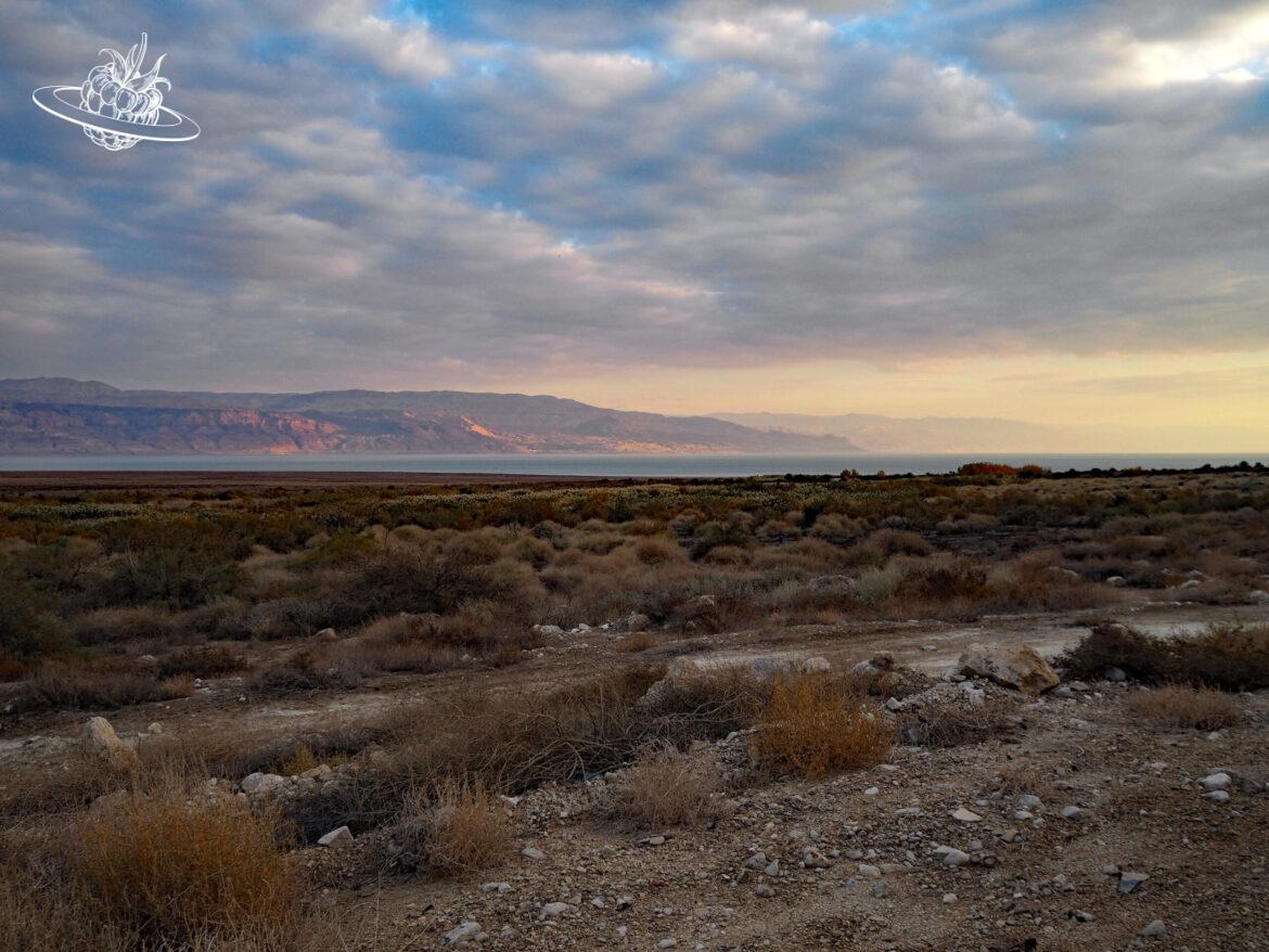 Wundertüte: Die ungewöhnliche Reise nach Eilat und nach Jersualem﻿