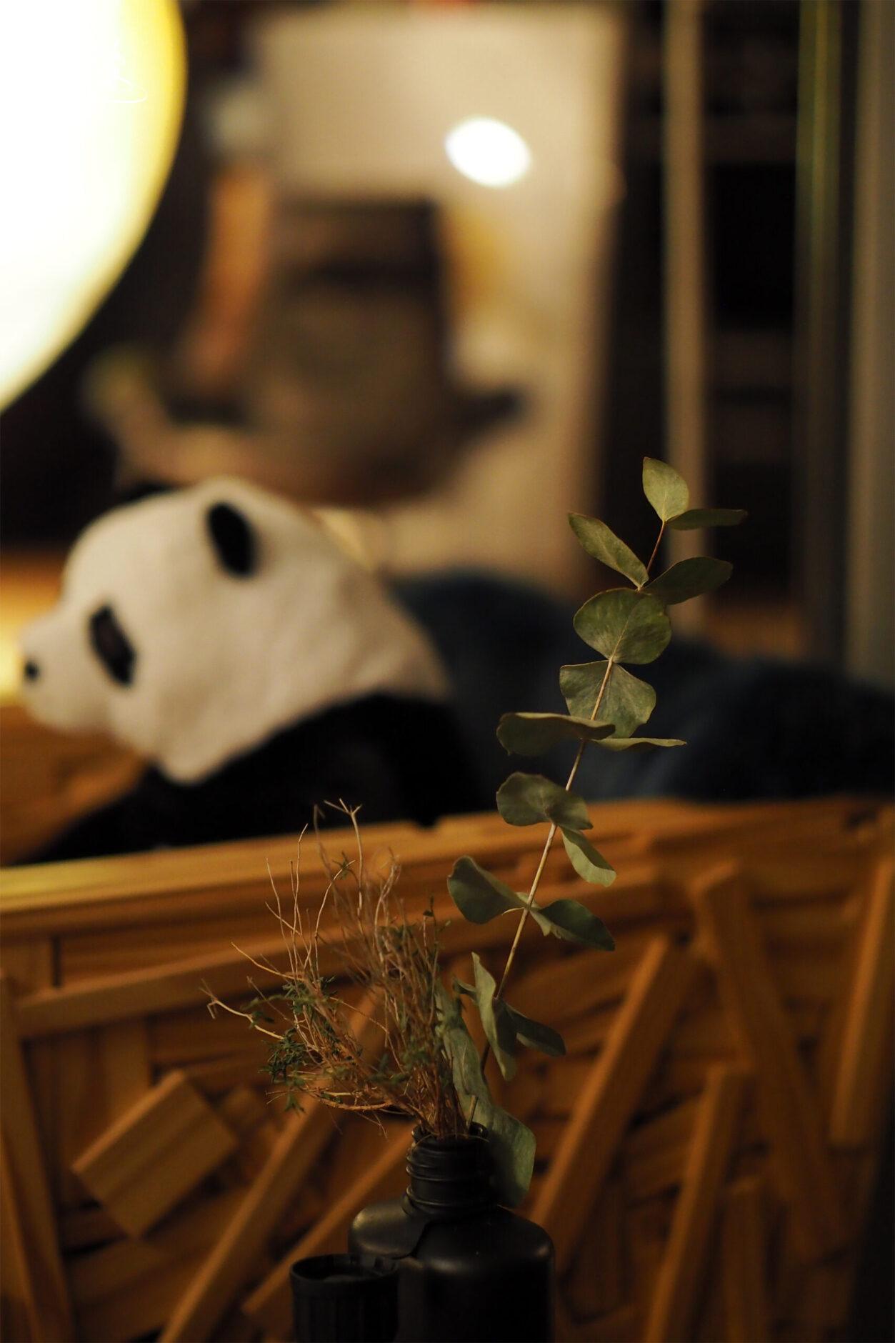 Strauch im Vordergrund. Im Hintergrund sitzt ein Pandaplüschbär am Tisch.