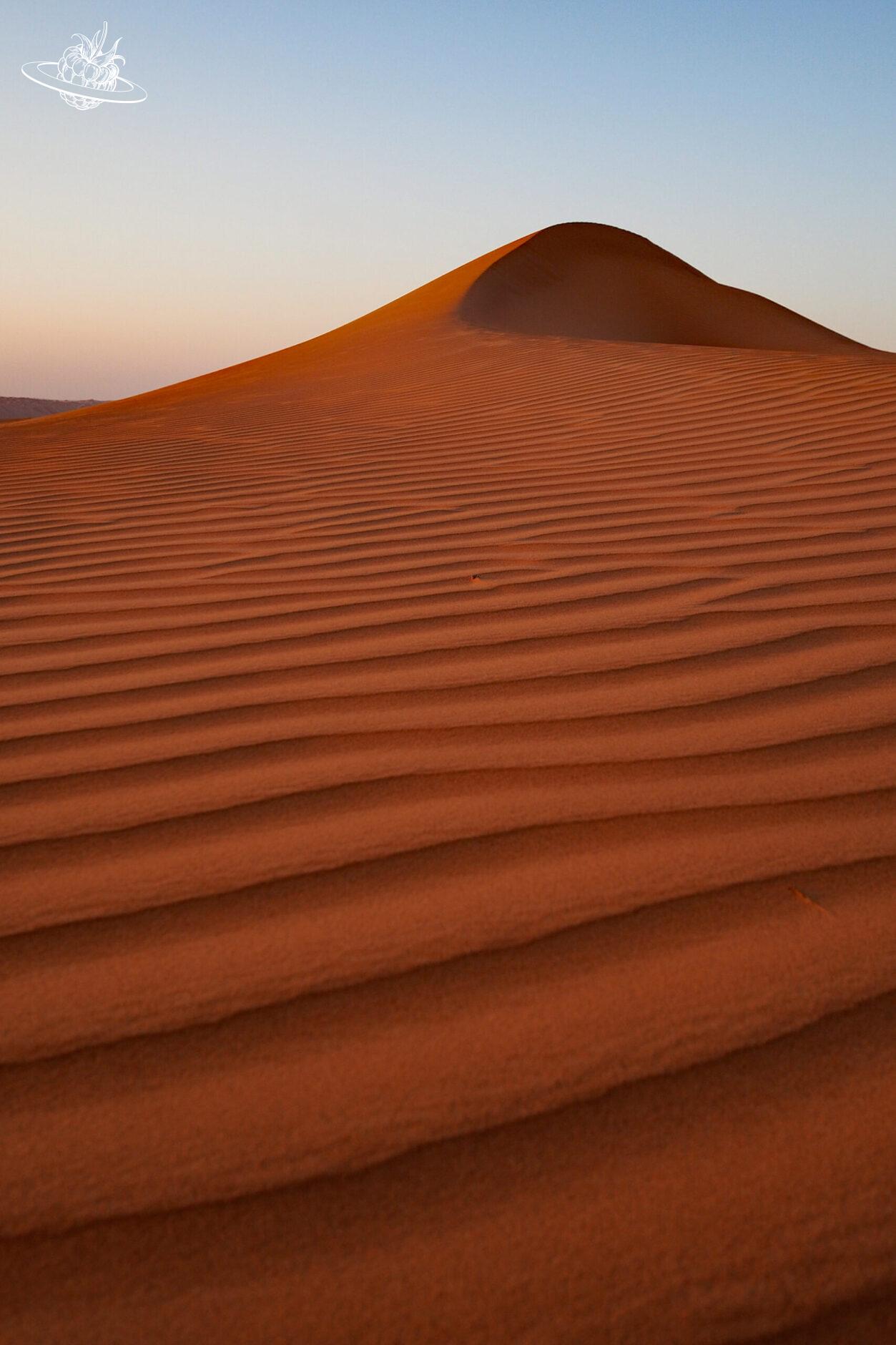 windspuren in der wüste