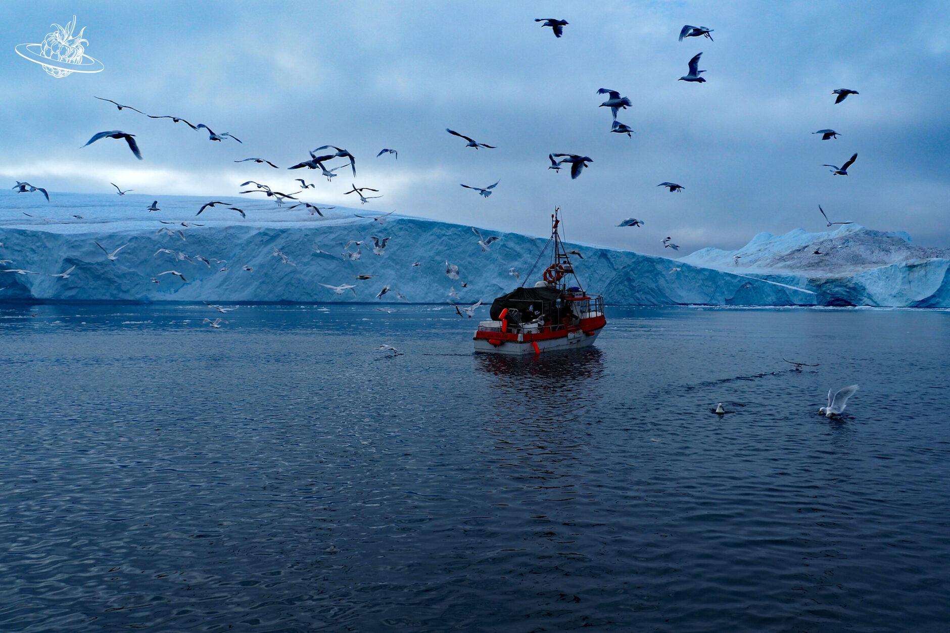 rotes Boot vor Eisberg umgeben von Vögel