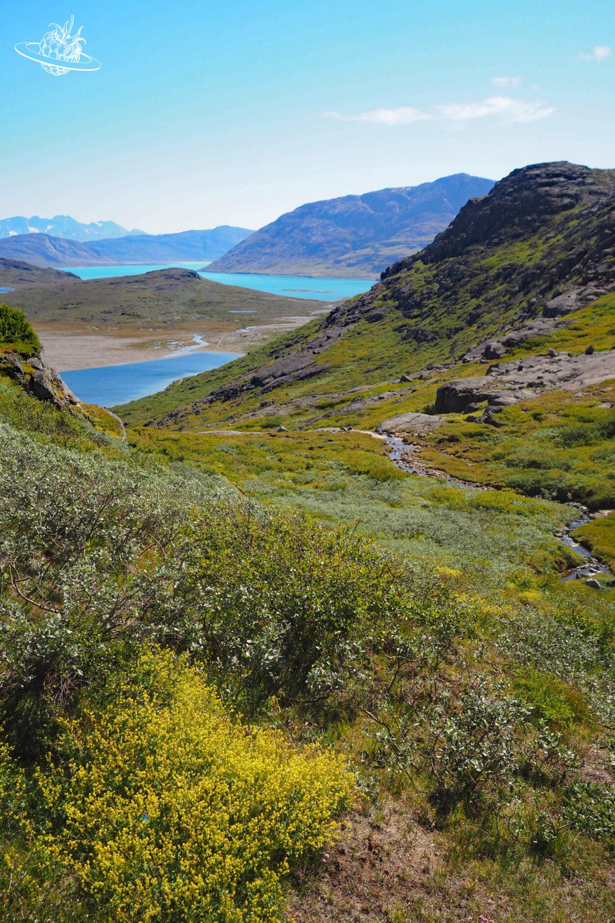 Qassiarsuk Landschaft See und Meer