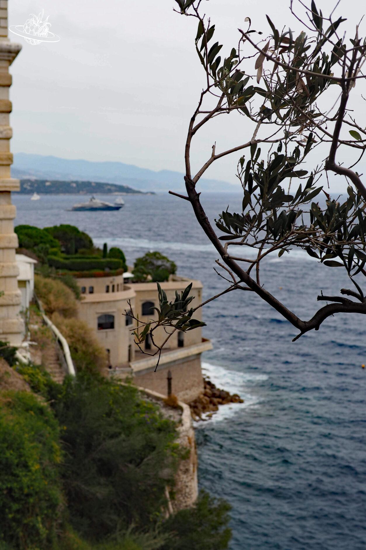 Jardins de Saint-Martin und Aussicht aufs Meer in Monaco
