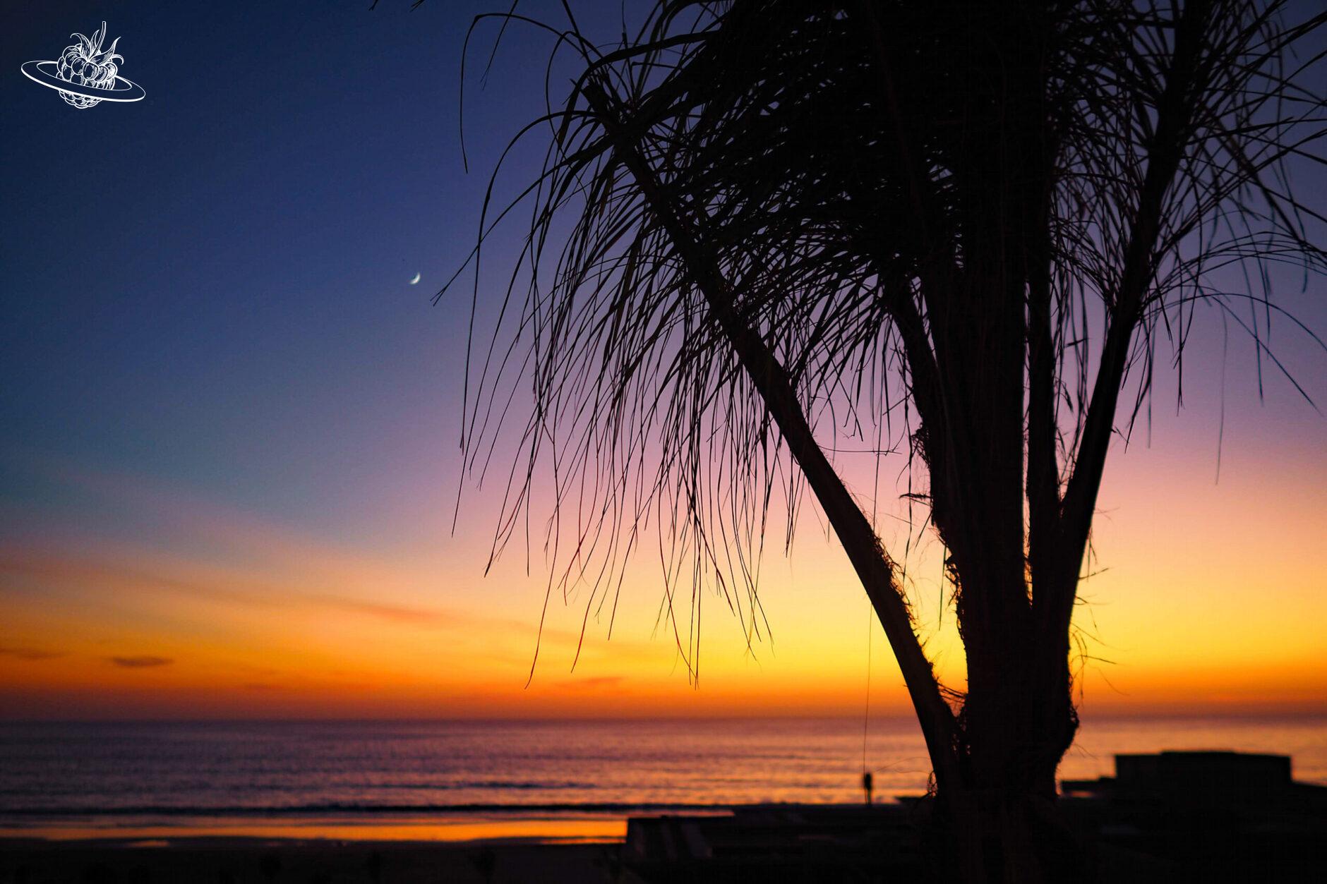 Sonnenuntergang mit Palme und Mond