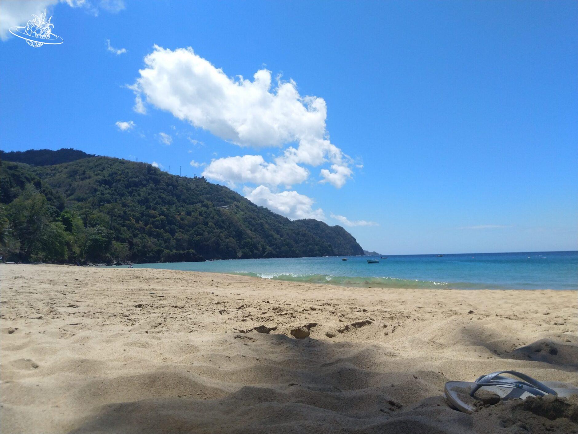 Sandstrand mit Blick aufs Meer, im Hintergrund die bewaldete Küste