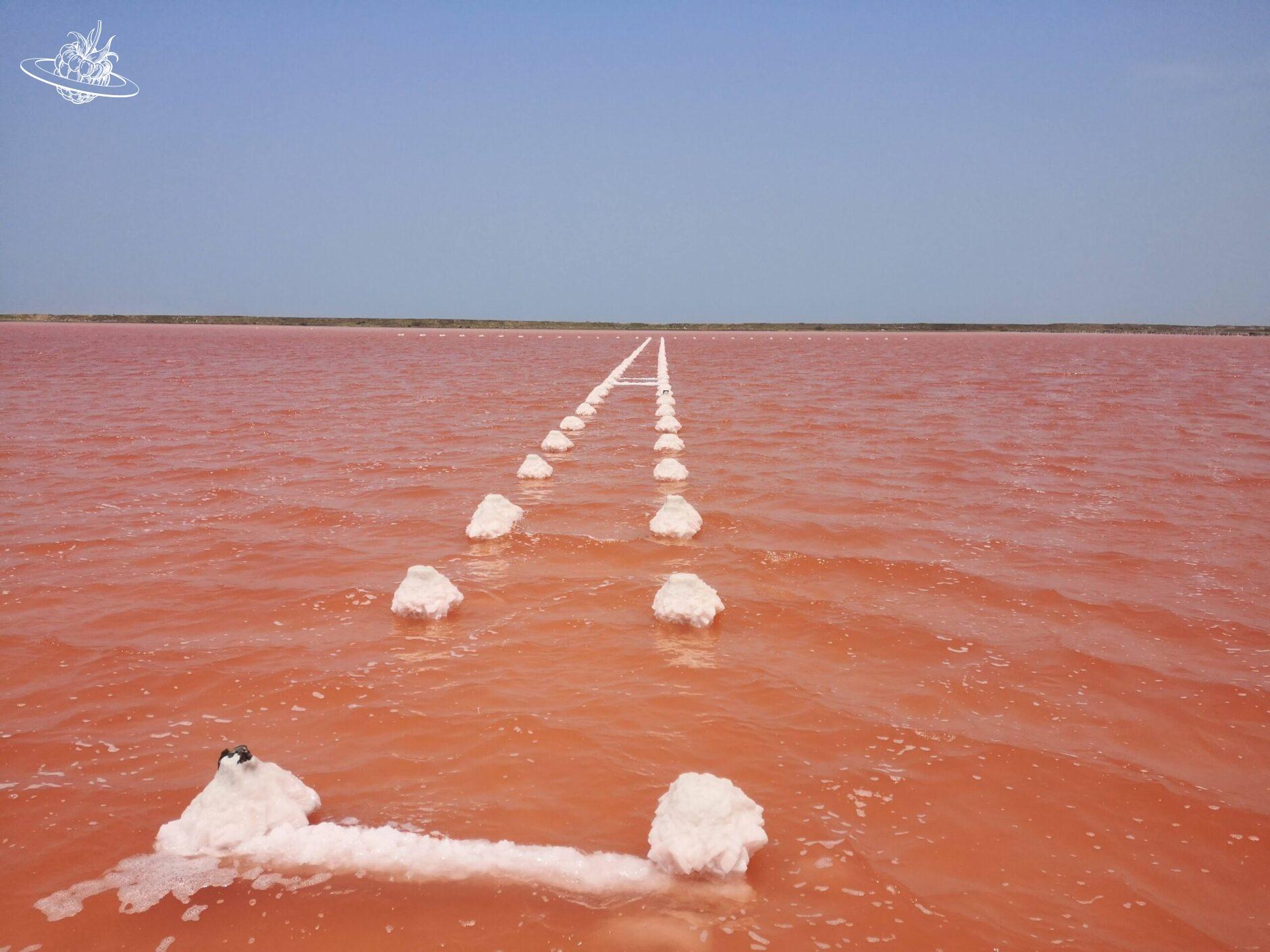 Roter Salzsee mit von Salz überzogenen Holzpflöcken im Wasser