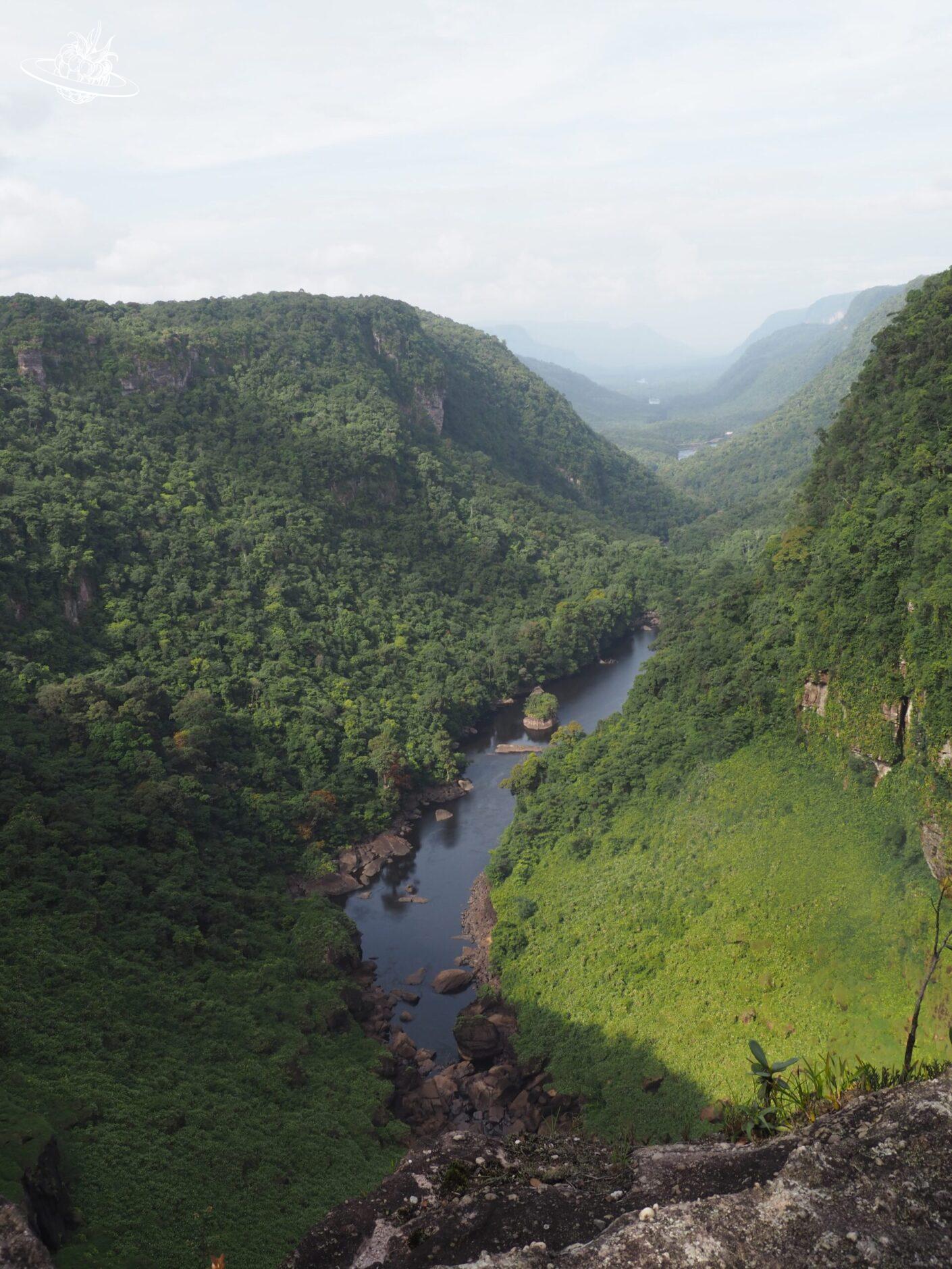 Schlucht mit Flusslauf und Regenwald