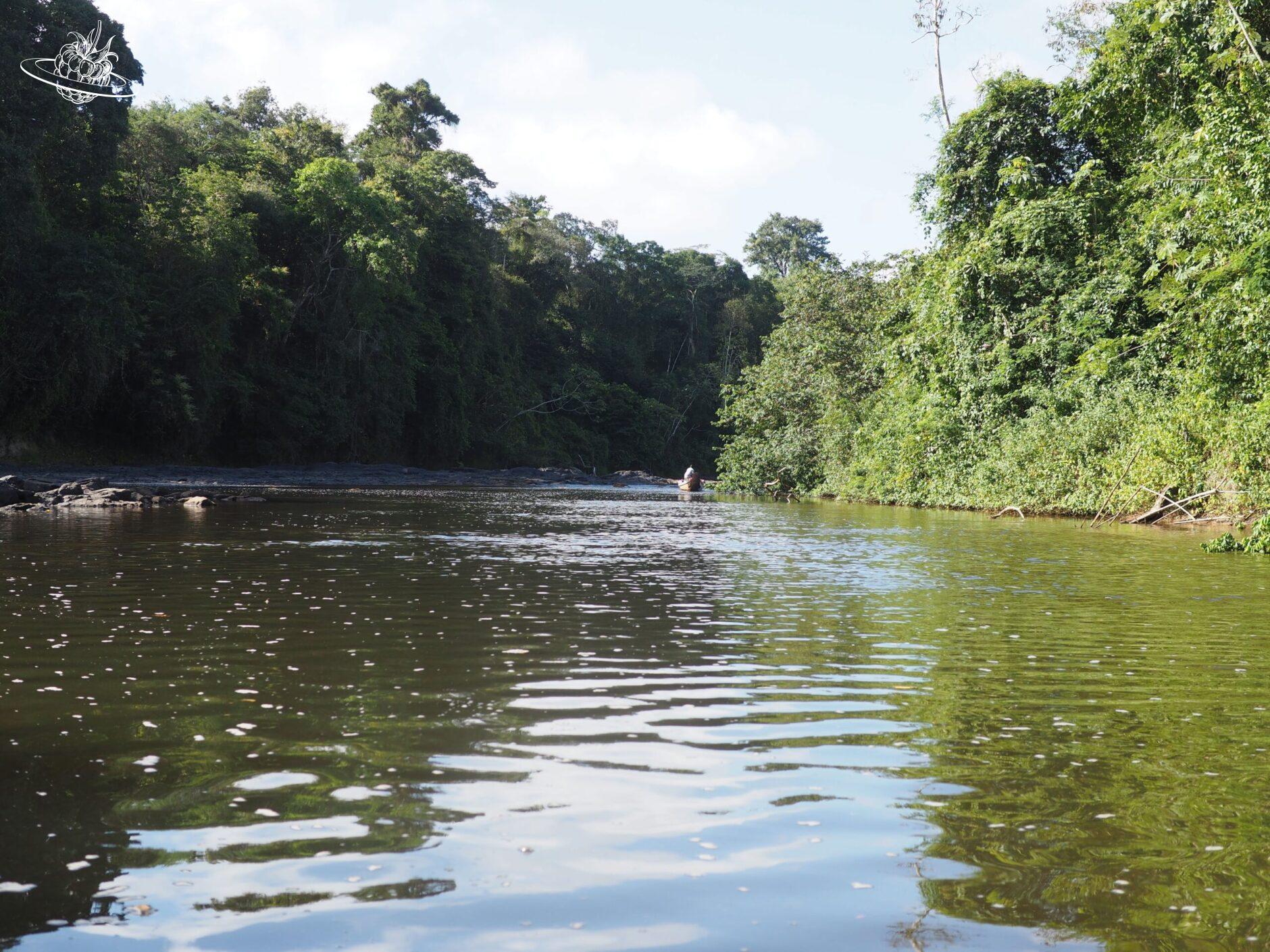 Breiter Fluss im Urwald