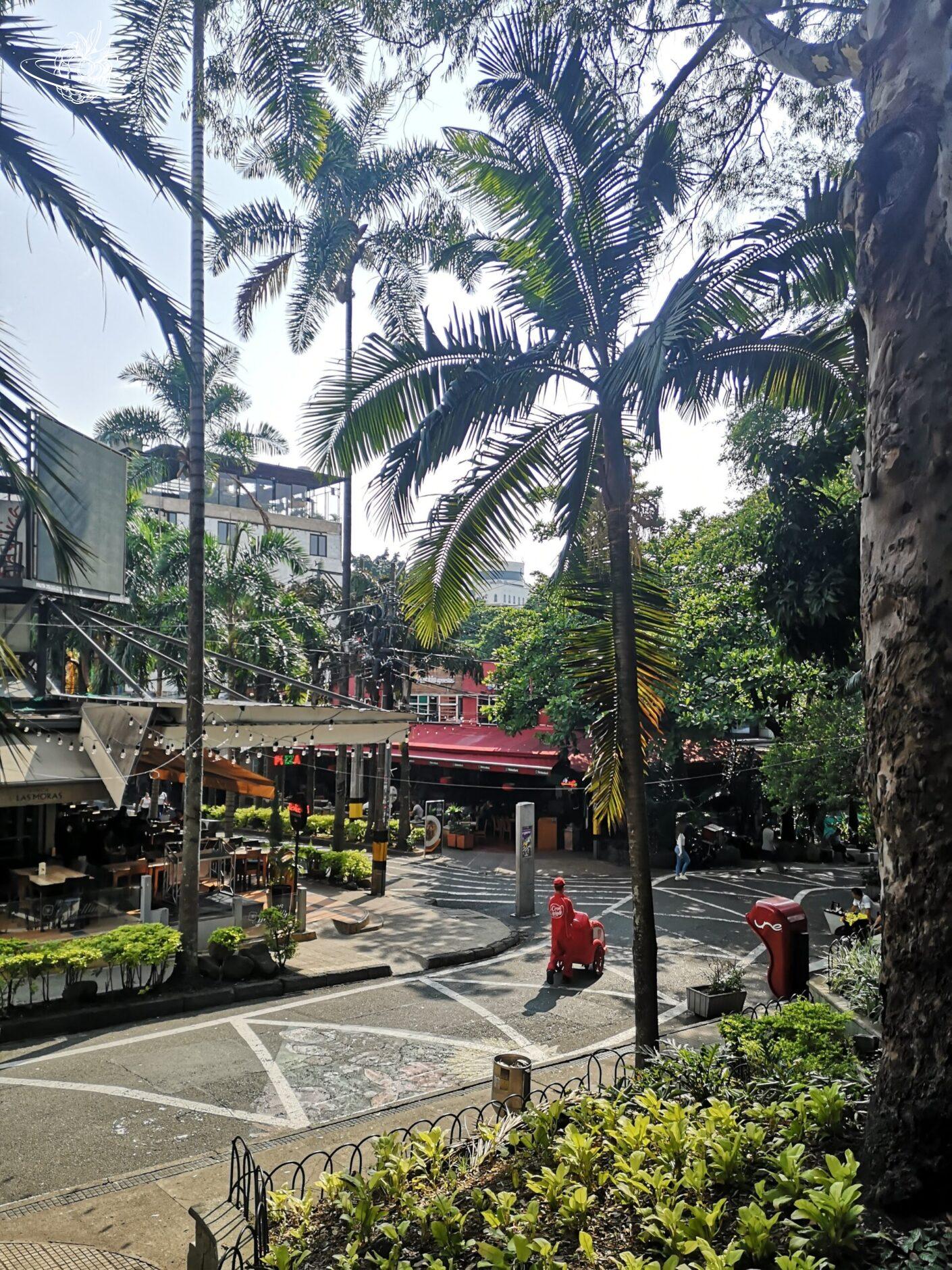 Gewundene Strasse mit Palmen und einem Café