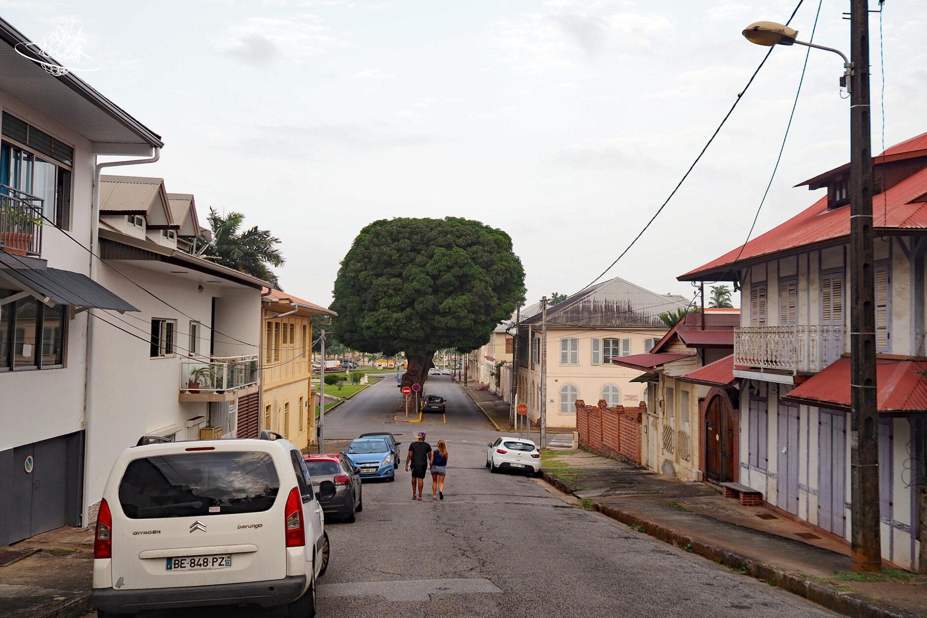Strasse in Französisch Guyana