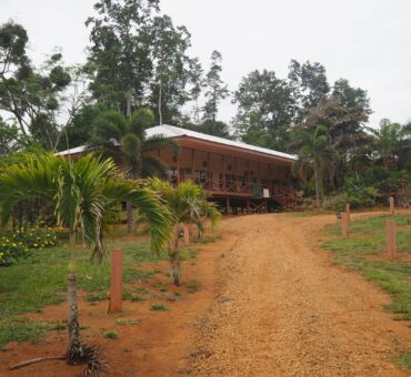 Reisetagebuch Tag 8: Ab in den surinamischen Dschungel