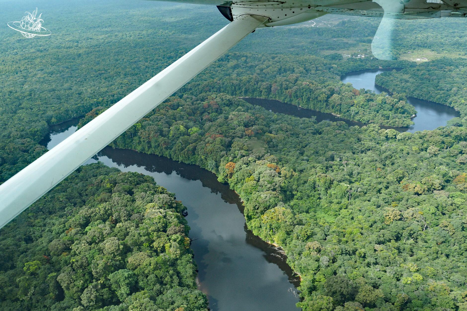 Flug über den Dschungel von Guyana