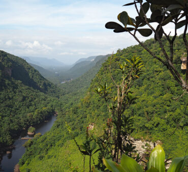 Reise-Tipp Guyana: Das Land der vielen Wasser