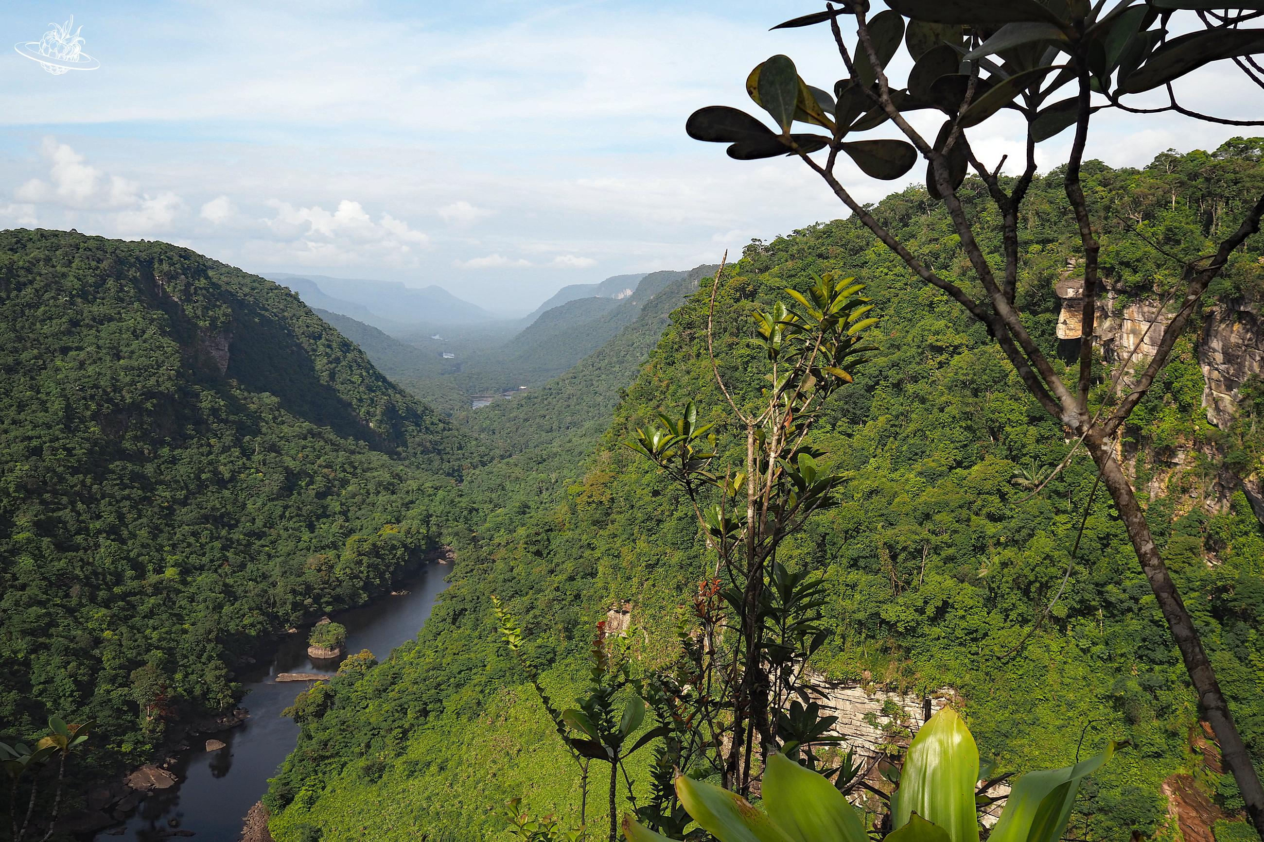 ReiseTipp Guyana Das Land der vielen Wasser wunderberry Schweizer