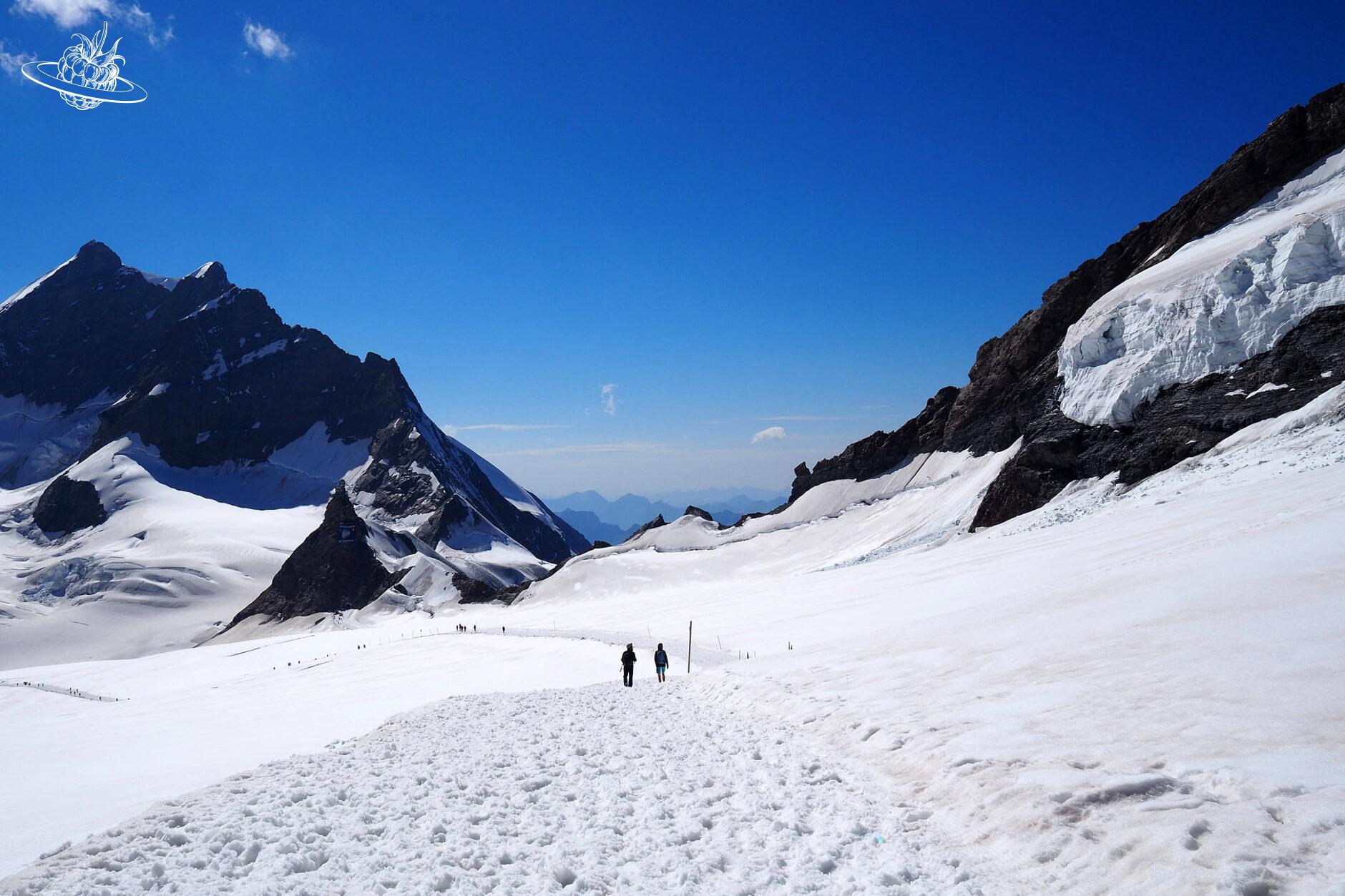 Schneebedeckter Wanderweg mit dem Jungfraujoch im Hintergrund