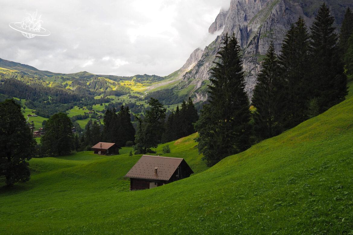 Homeoffice in Grindelwald mit 3 Ausflugstipps und einem Hammer Restaurant!