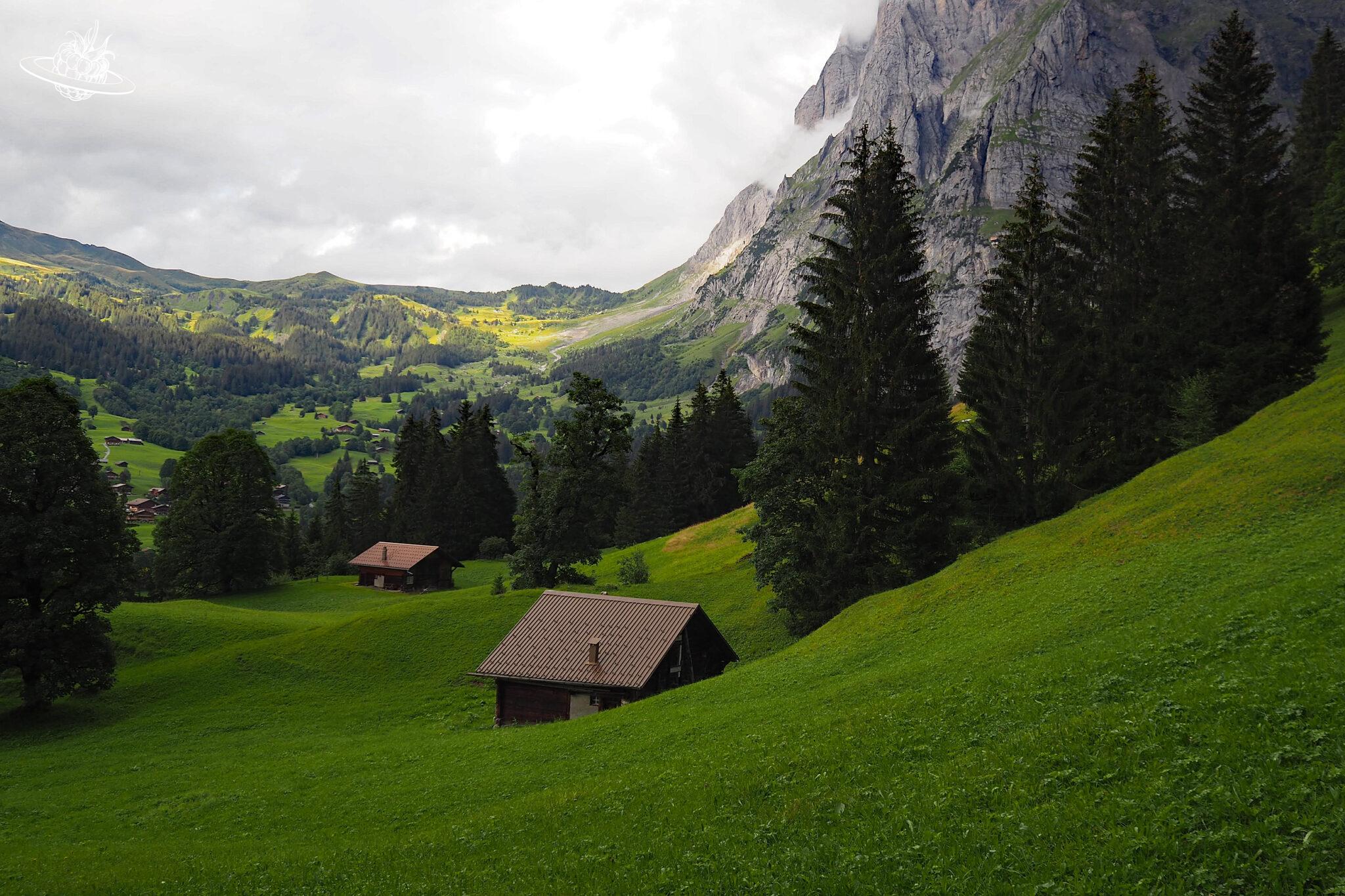 Homeoffice in Grindelwald mit 3 Ausflugstipps und einem Hammer Restaurant!
