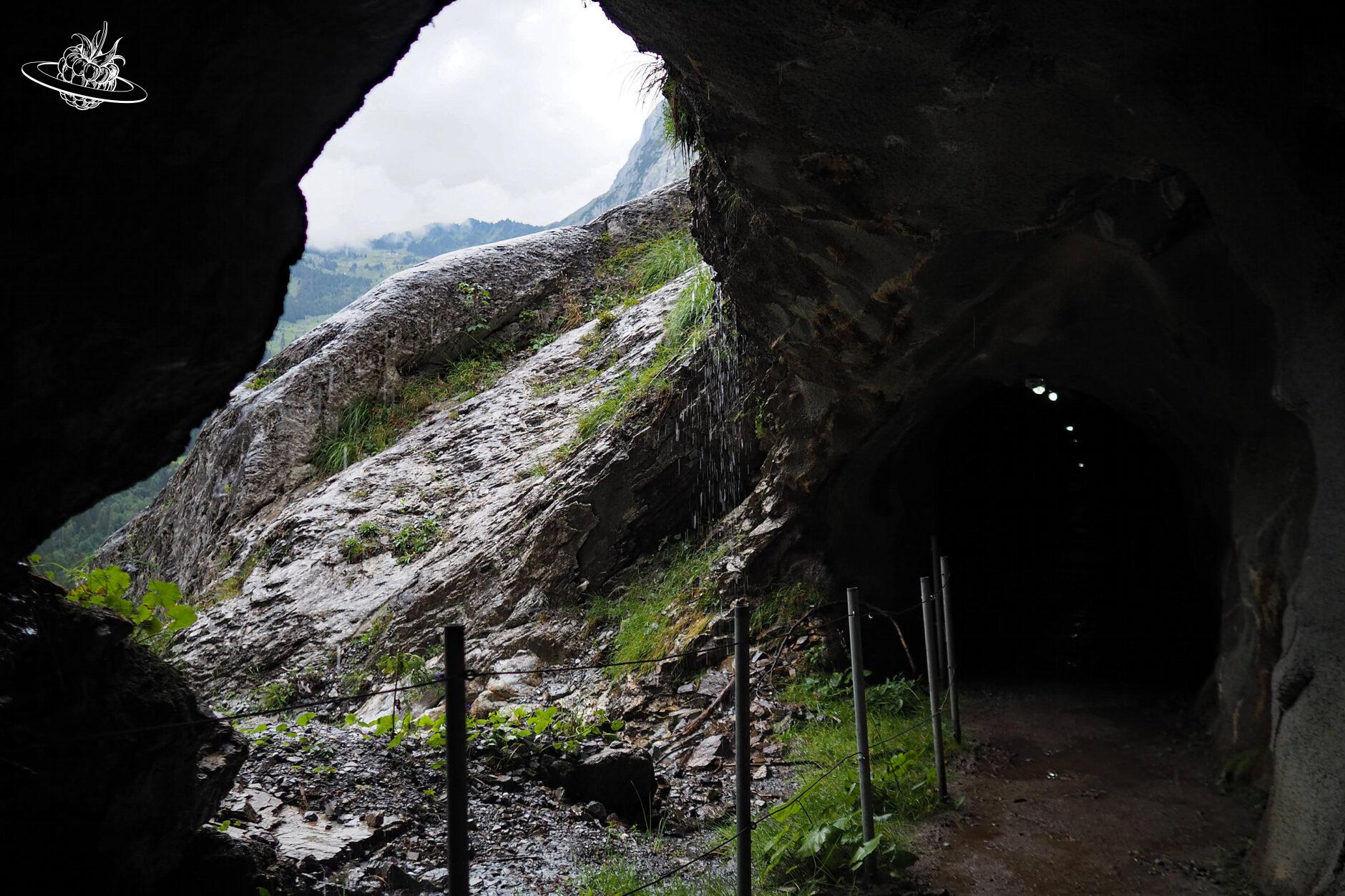 Blick aus einem Tunnel auf einen Stein bei Regenwetter