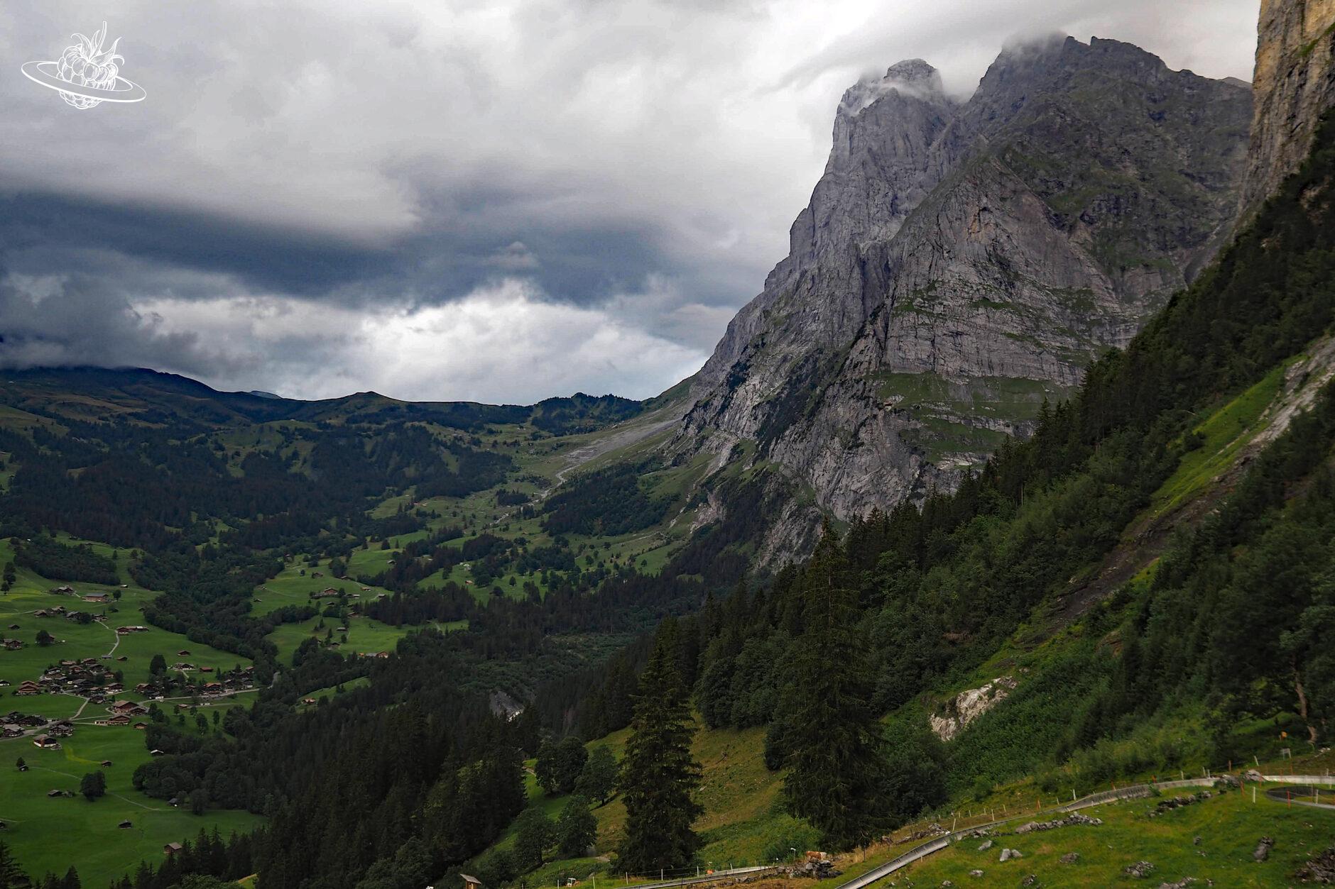 Blick auf die Grosse Scheidegg mit dem Wetterhorn