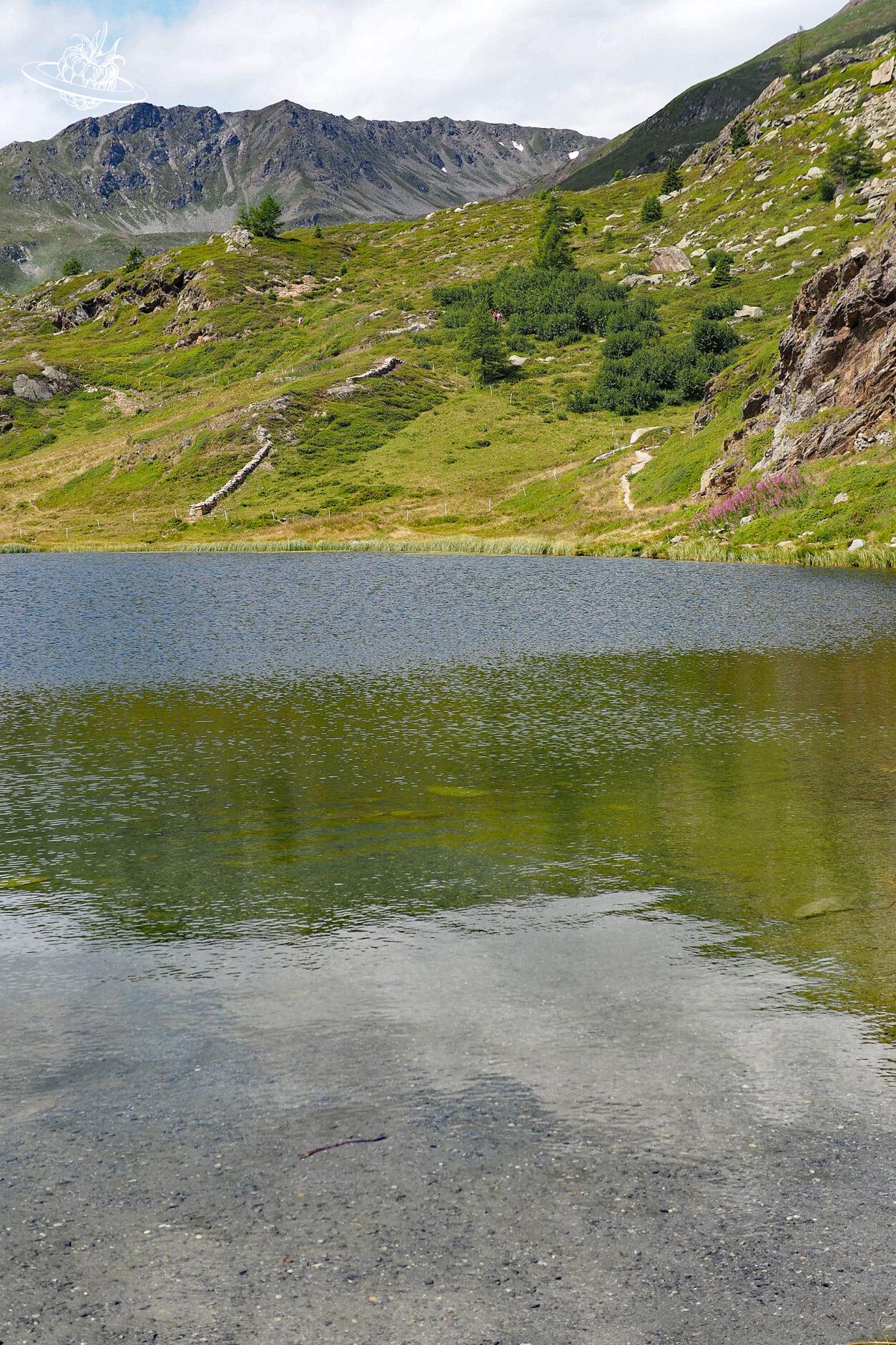 Bergsee mit Schilf am Ufer