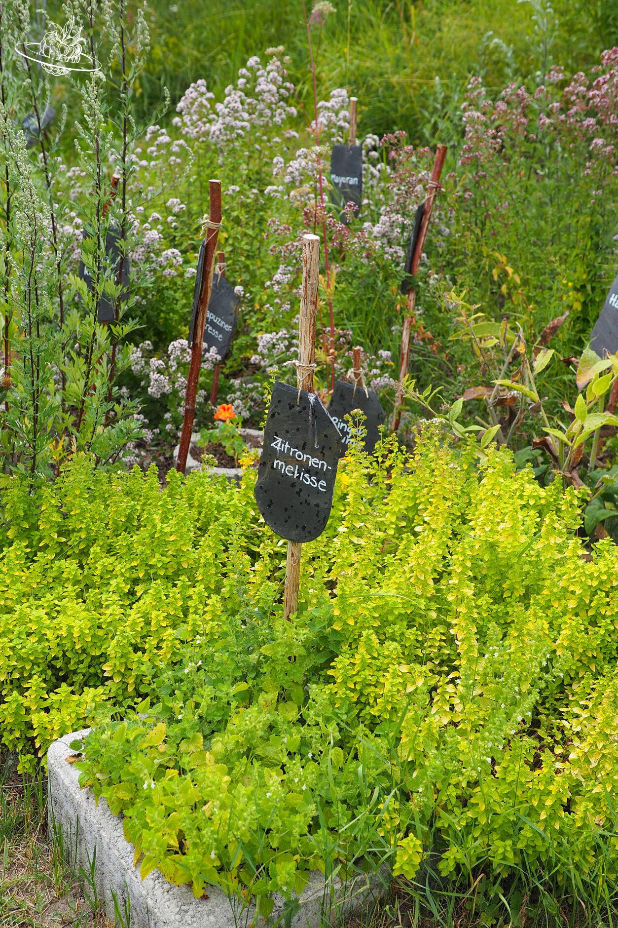 Kräutergarten mit kleinen, beschrifteten Schiefertafeln