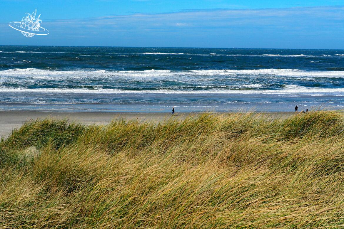 EurAsia by Train Part 10: Mit dem Zug von Brüssel durch Luxemburg und in die Niederlanden