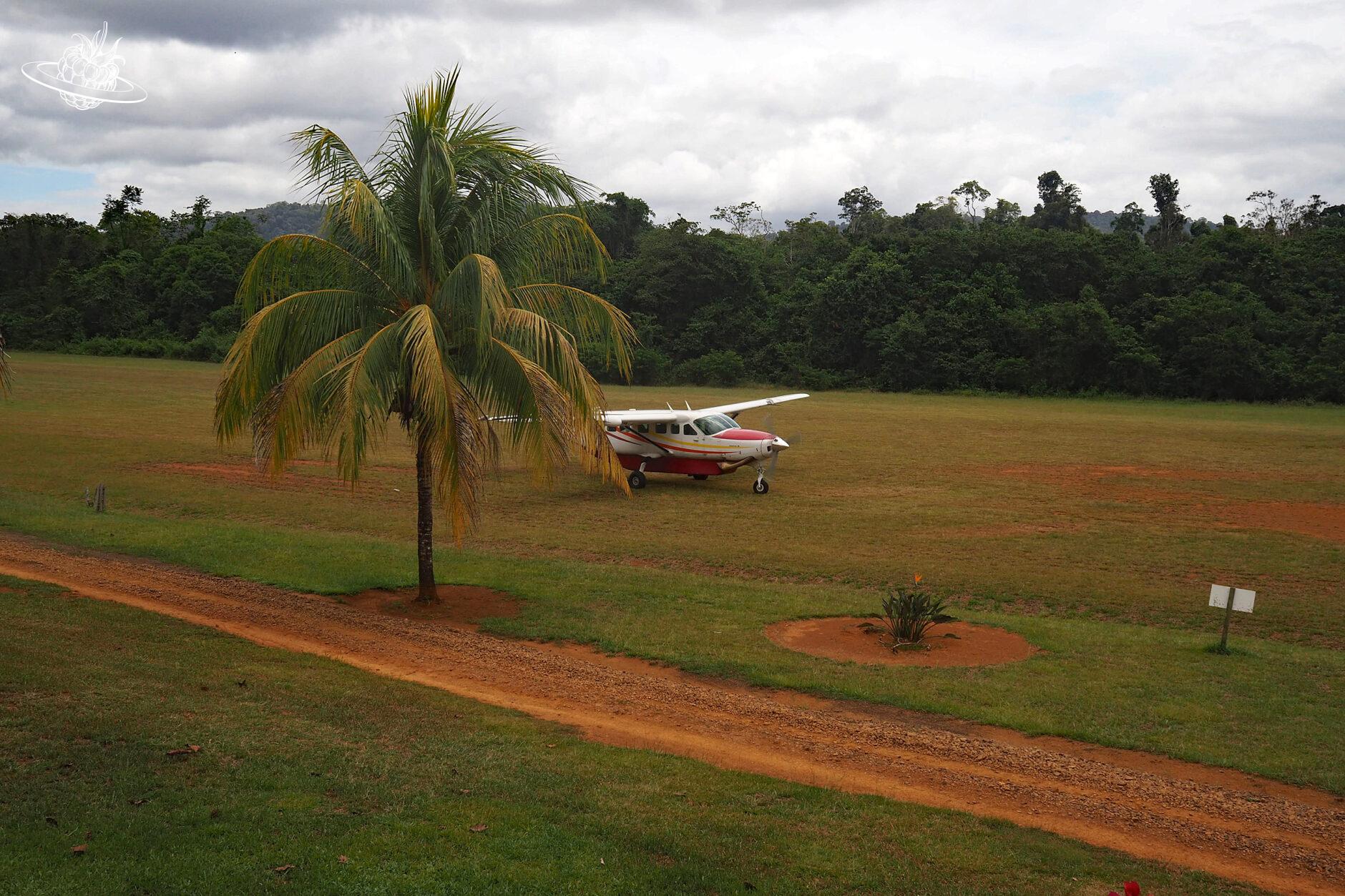 Landendes Flugzeug auf der Rasenpiste des Kabalebo-Ressorts