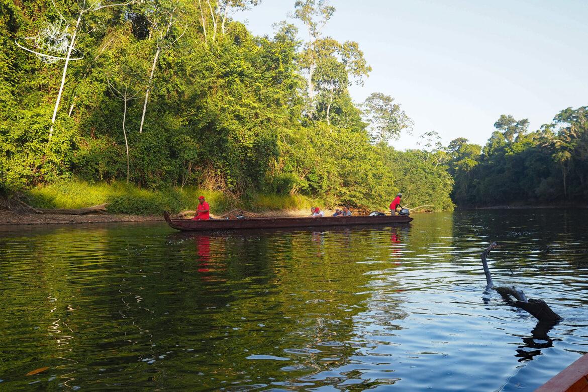 Reisetipp Suriname: Ein Dschungelabenteuer