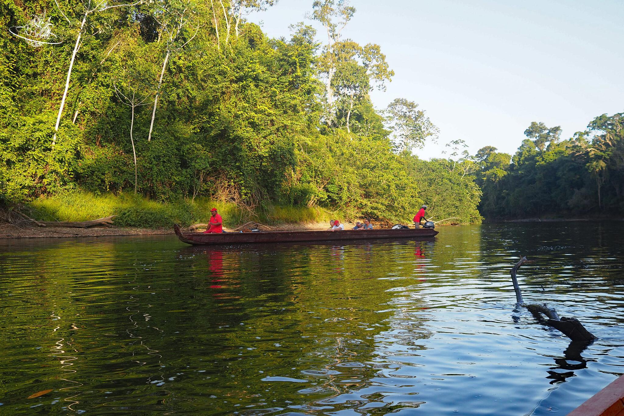 Reisetipp Suriname: Ein Dschungelabenteuer
