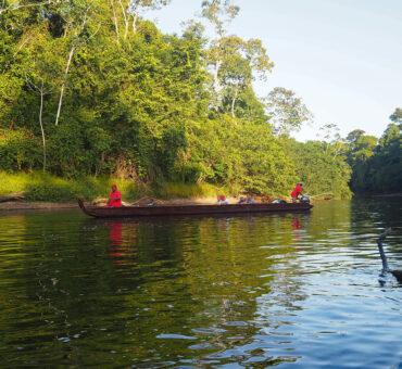 Reisetipp Suriname: Ein Dschungelabenteuer