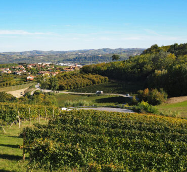 Reisetipp Piemont: Eine (Trüffel)-Genussreise im Norden von Italien