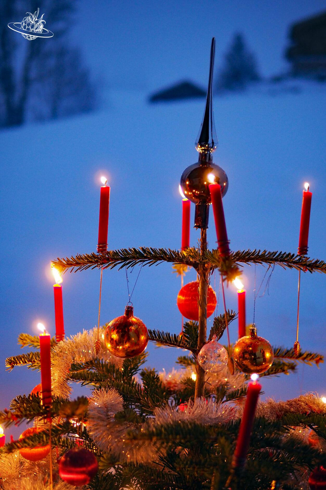 Weihnachtsbaum draussen