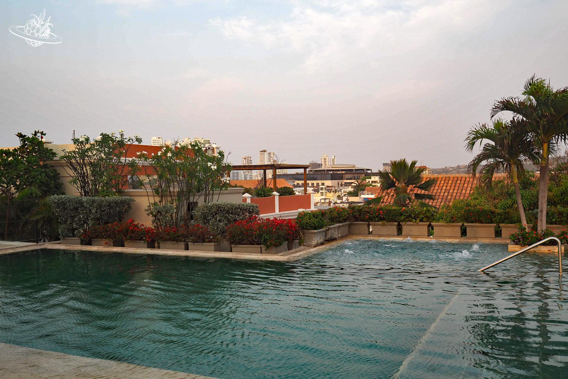 Rooftop-Pool, gesäumt mit Blumen und Palmen