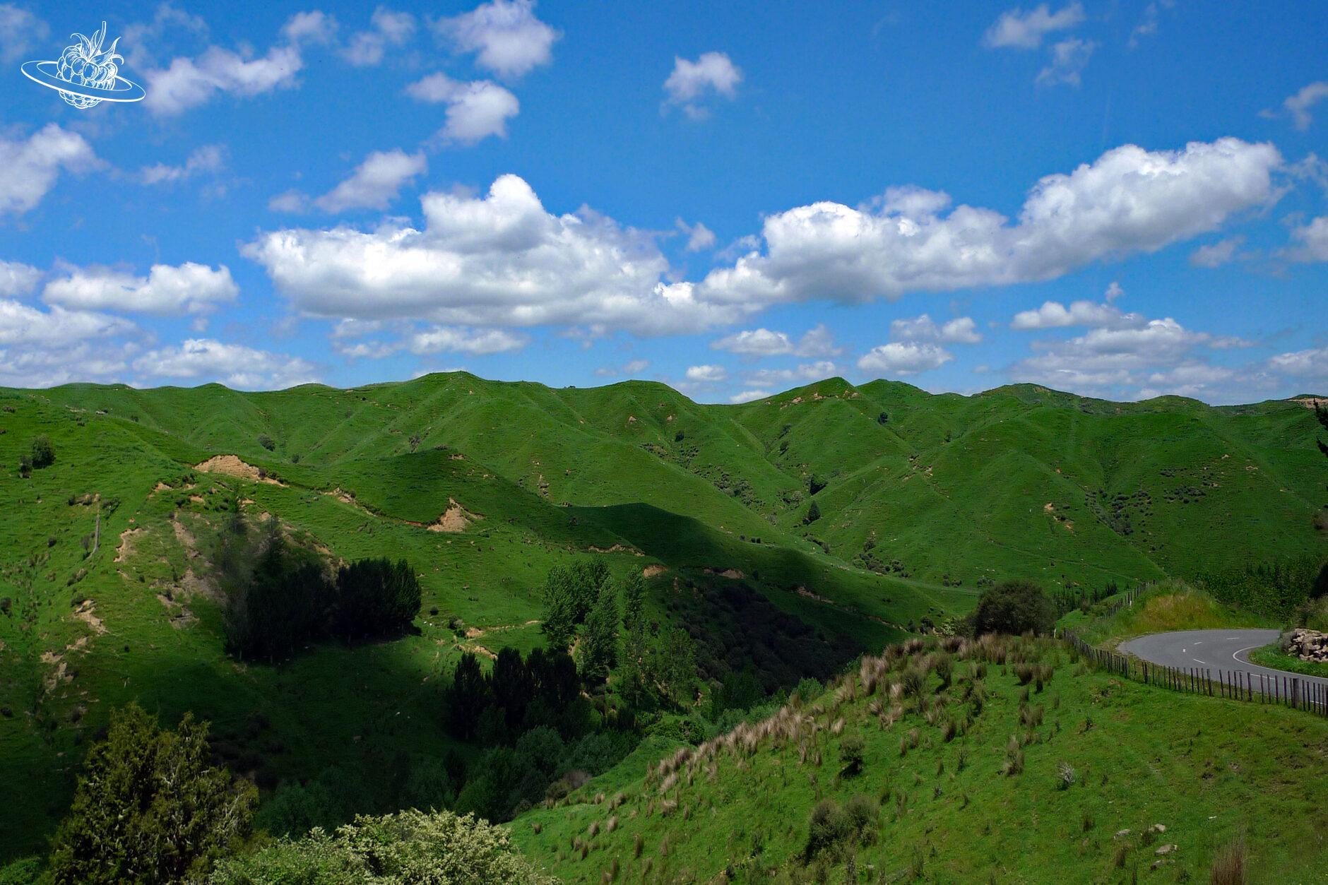 grüne Berge in Neuseeland