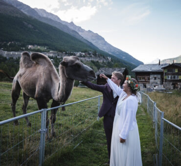 Wunderberry’s Rückblick 2021 und einen Blick in die Glaskugel 2022