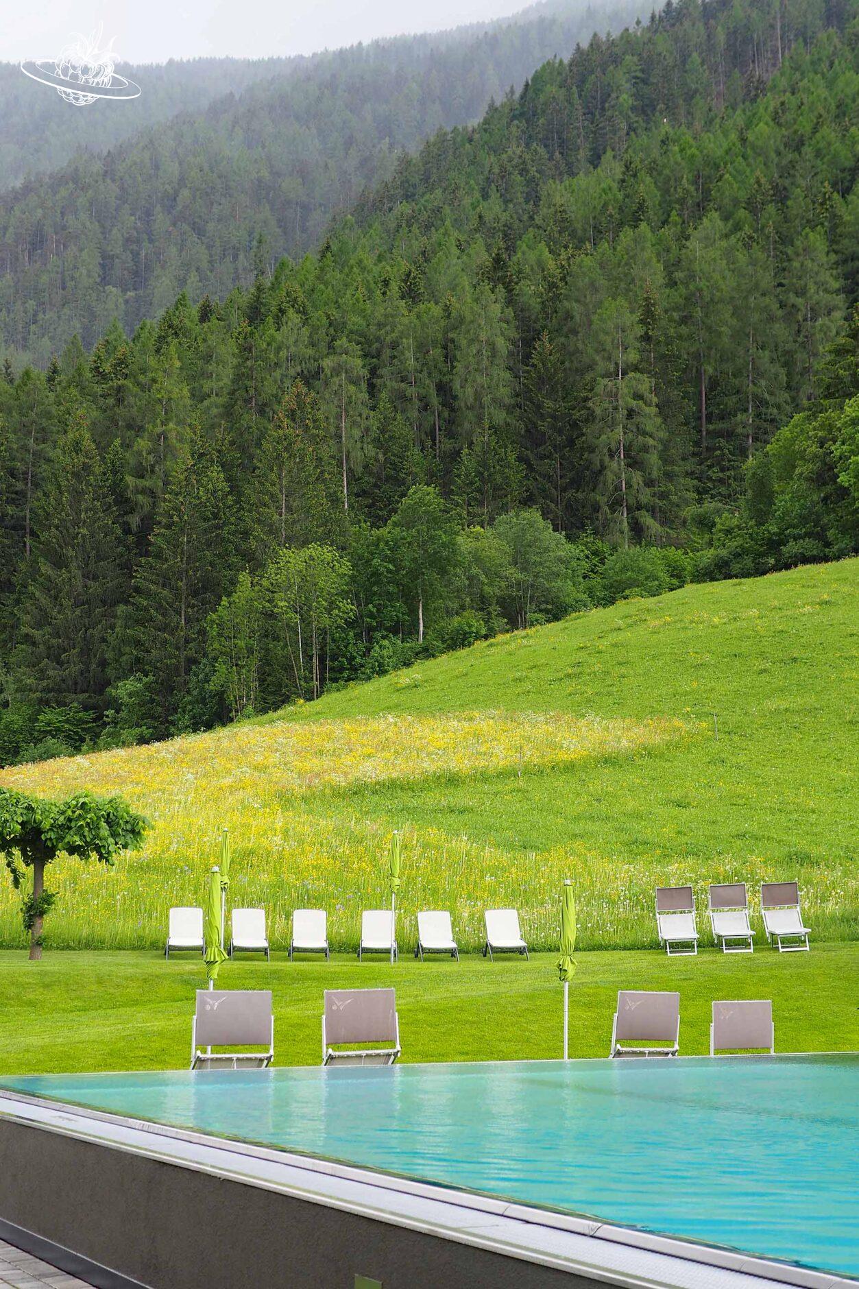 Infinitypool mit Wald im Hintergrund