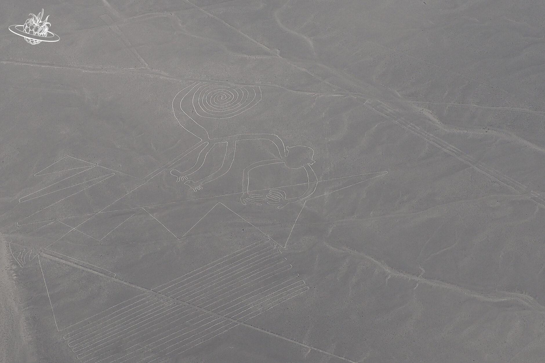 Die Figur "Affe" in der Wüste von Nazca