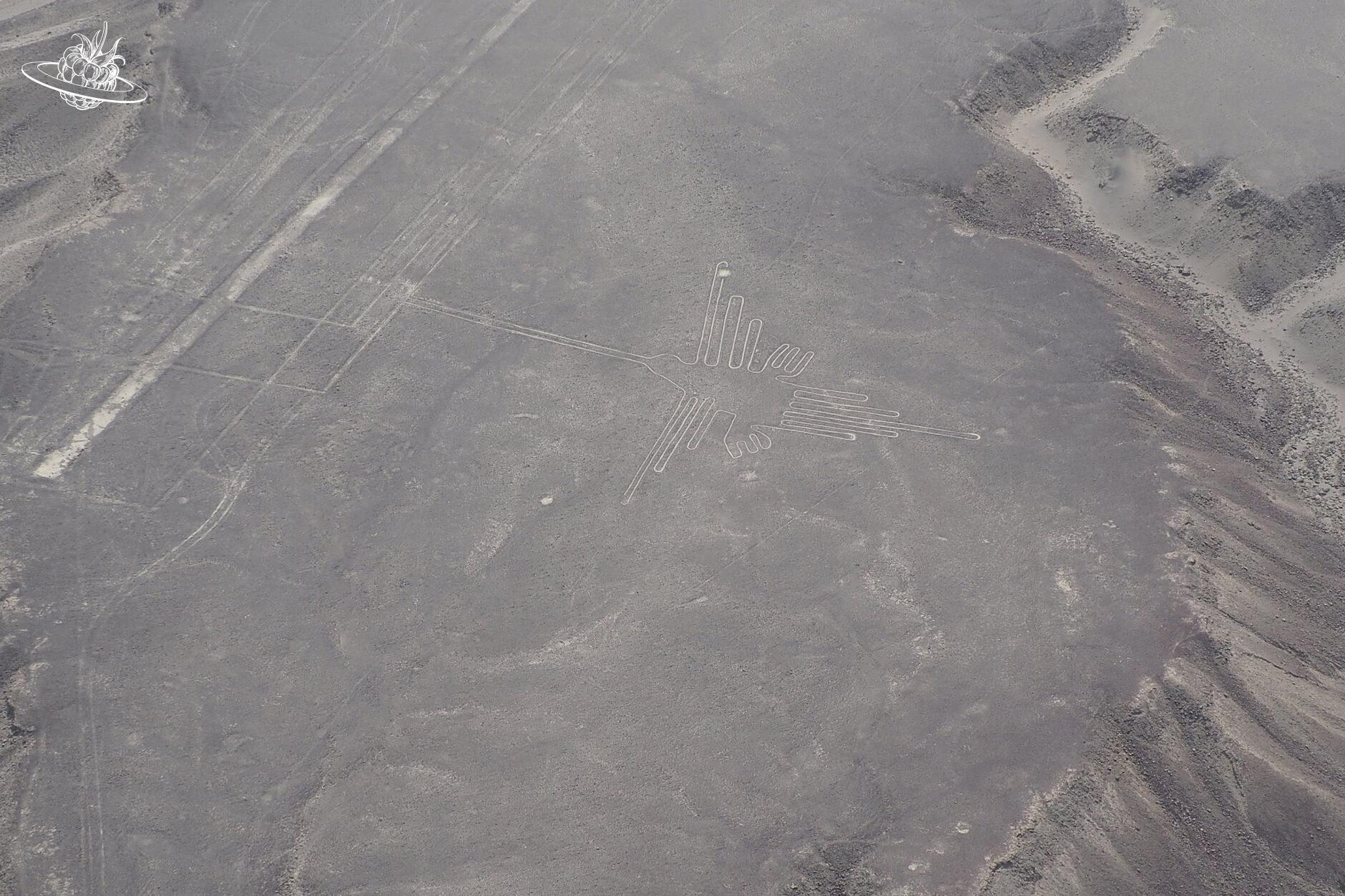Die Figur "Kolibri" in der Wüste von Nazca