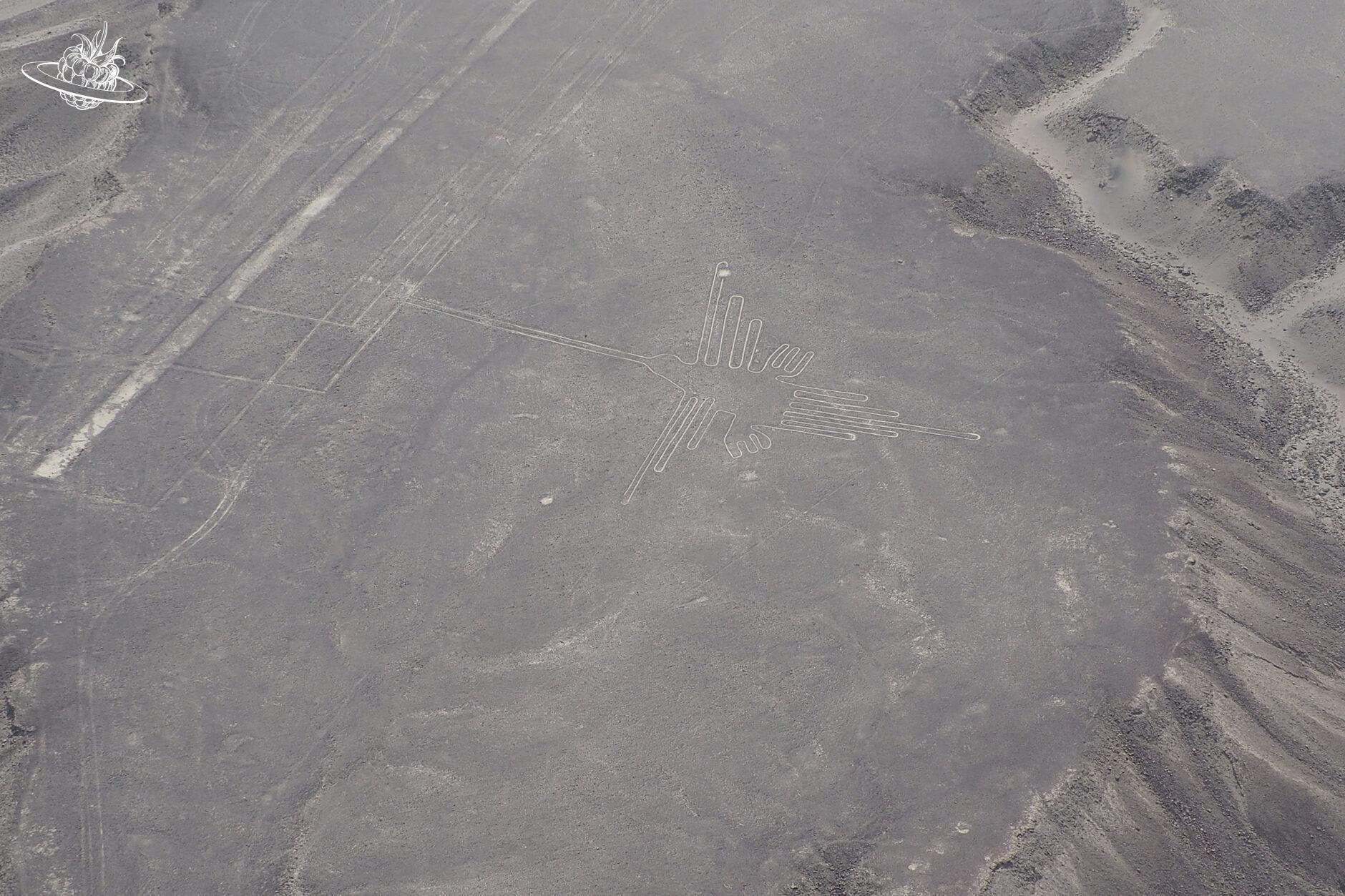 Die Figur "Kolibri" in der Wüste von Nazca