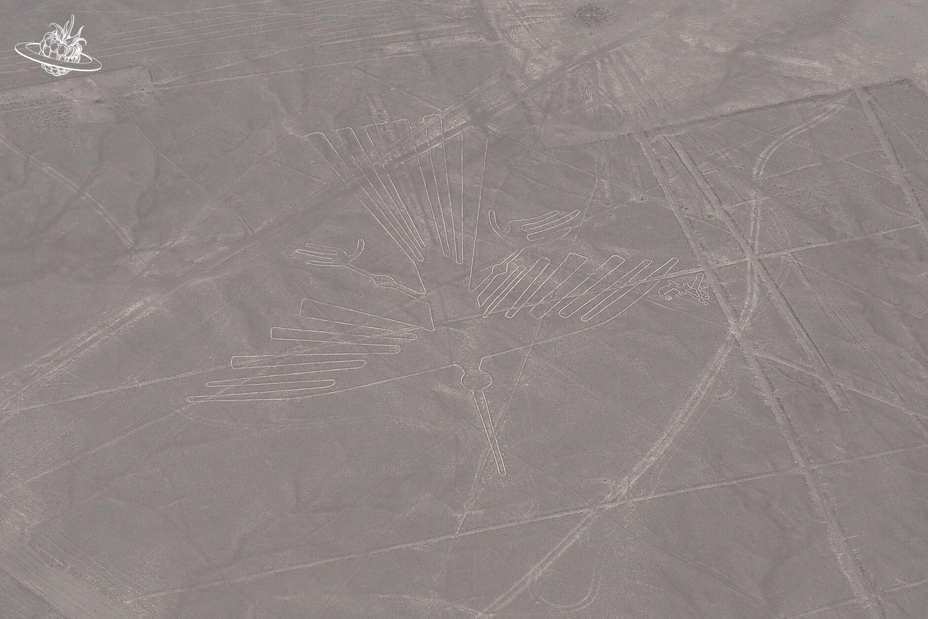 Die Figur "Kondor" in der Wüste von Nazca