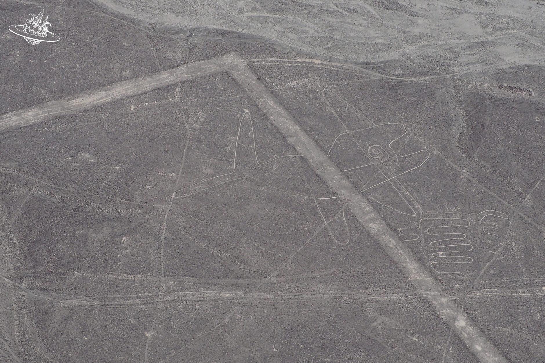 Die Figur "Wal" in der Wüste von Nazca