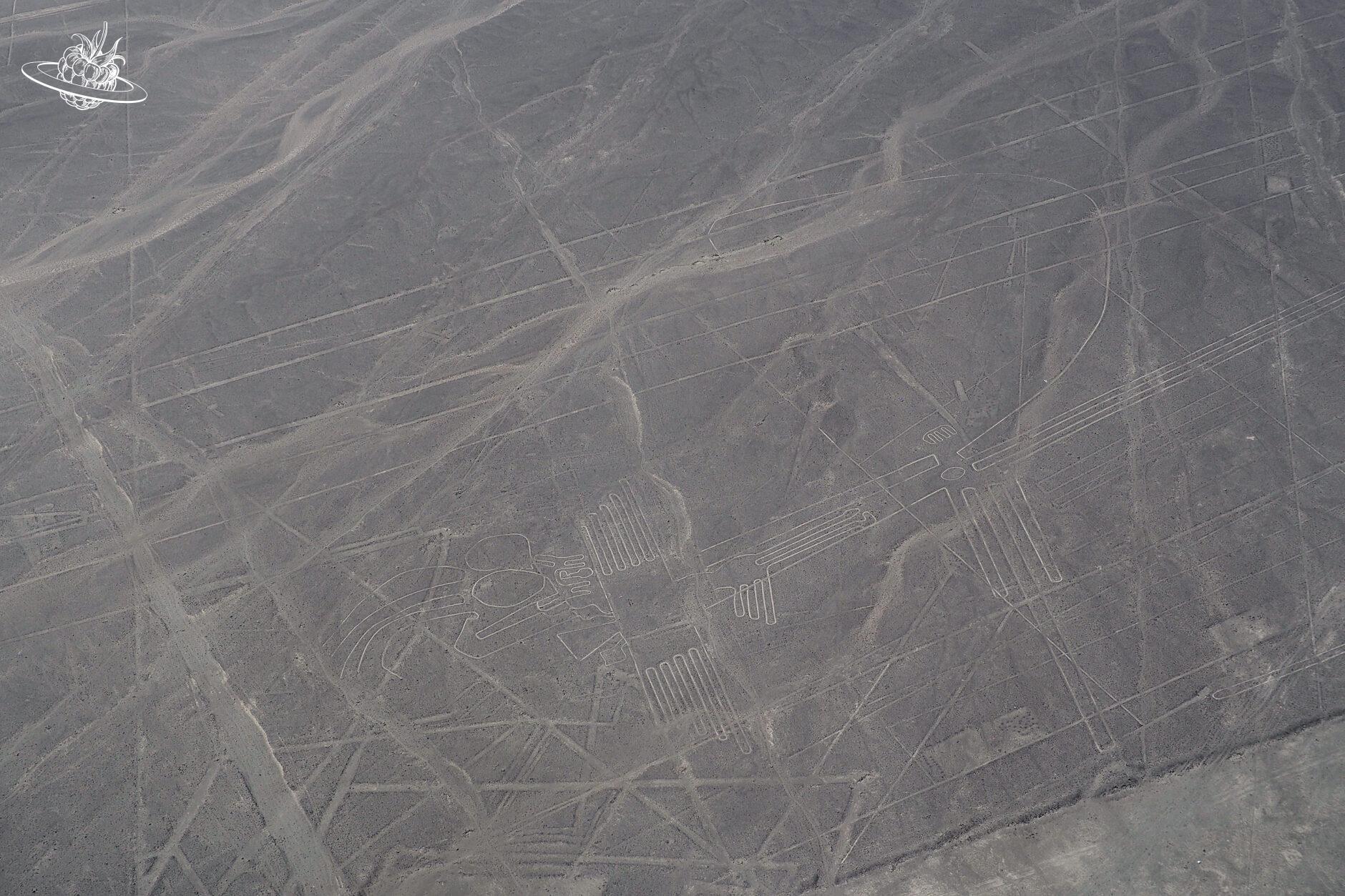 Die Figur "Wespe" in der Wüste von Nazca