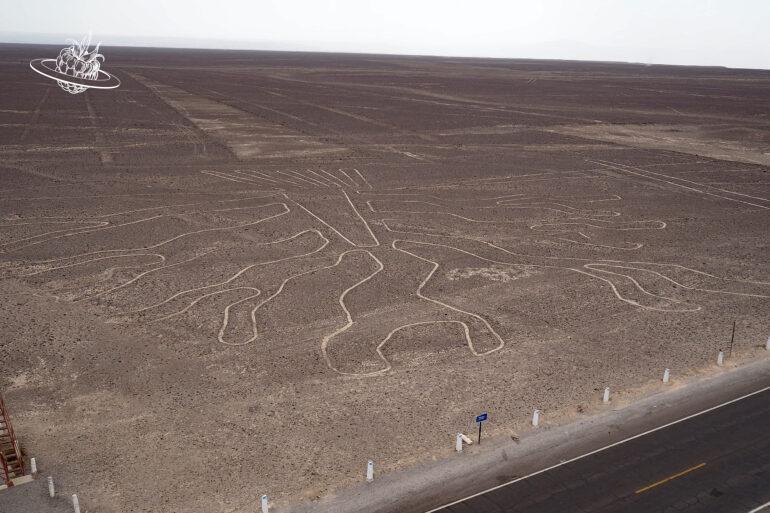 Die Figur "Baum" in der Wüste von Nazca