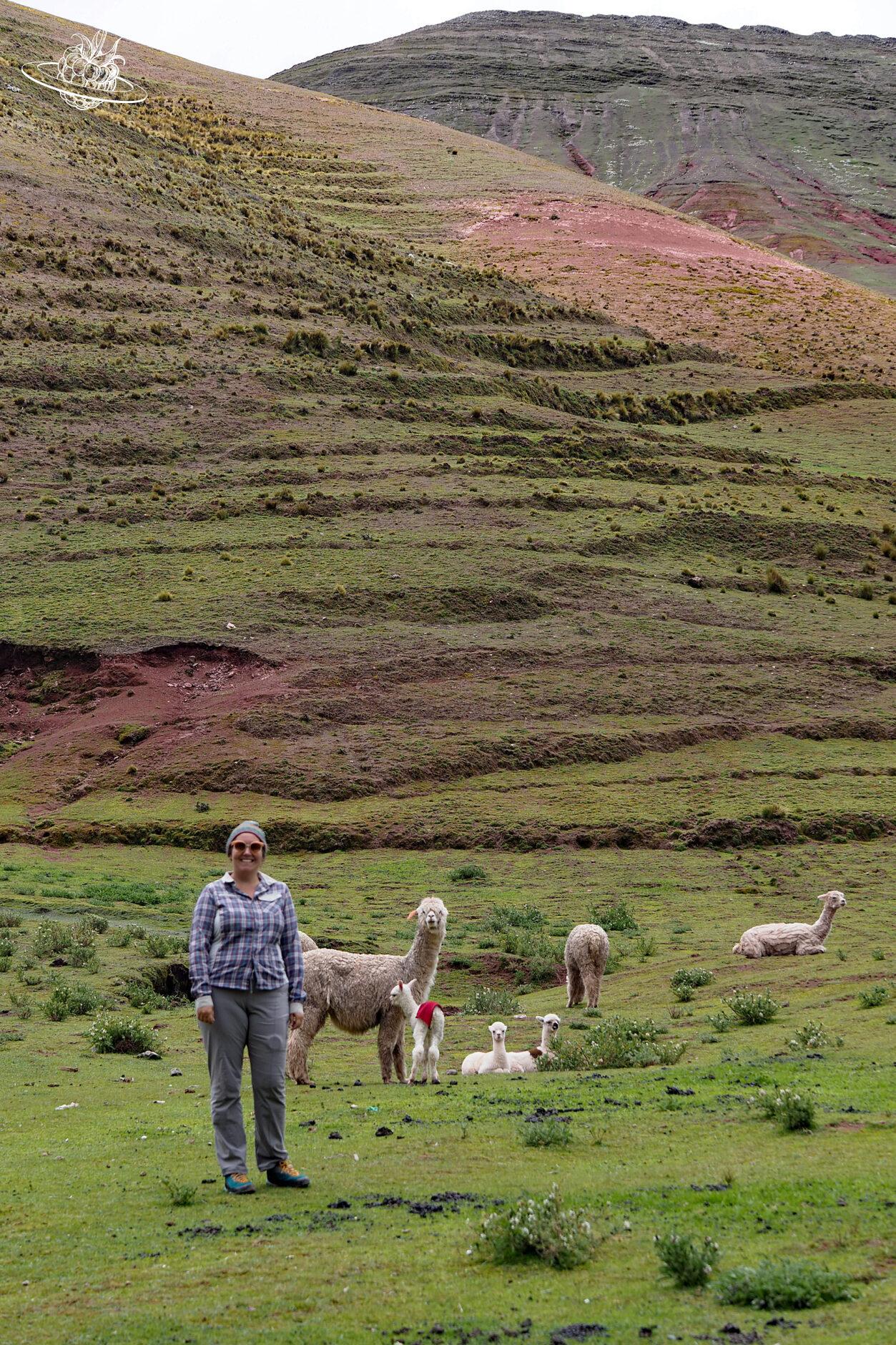 Andrea mit Lamas im Hintergrund