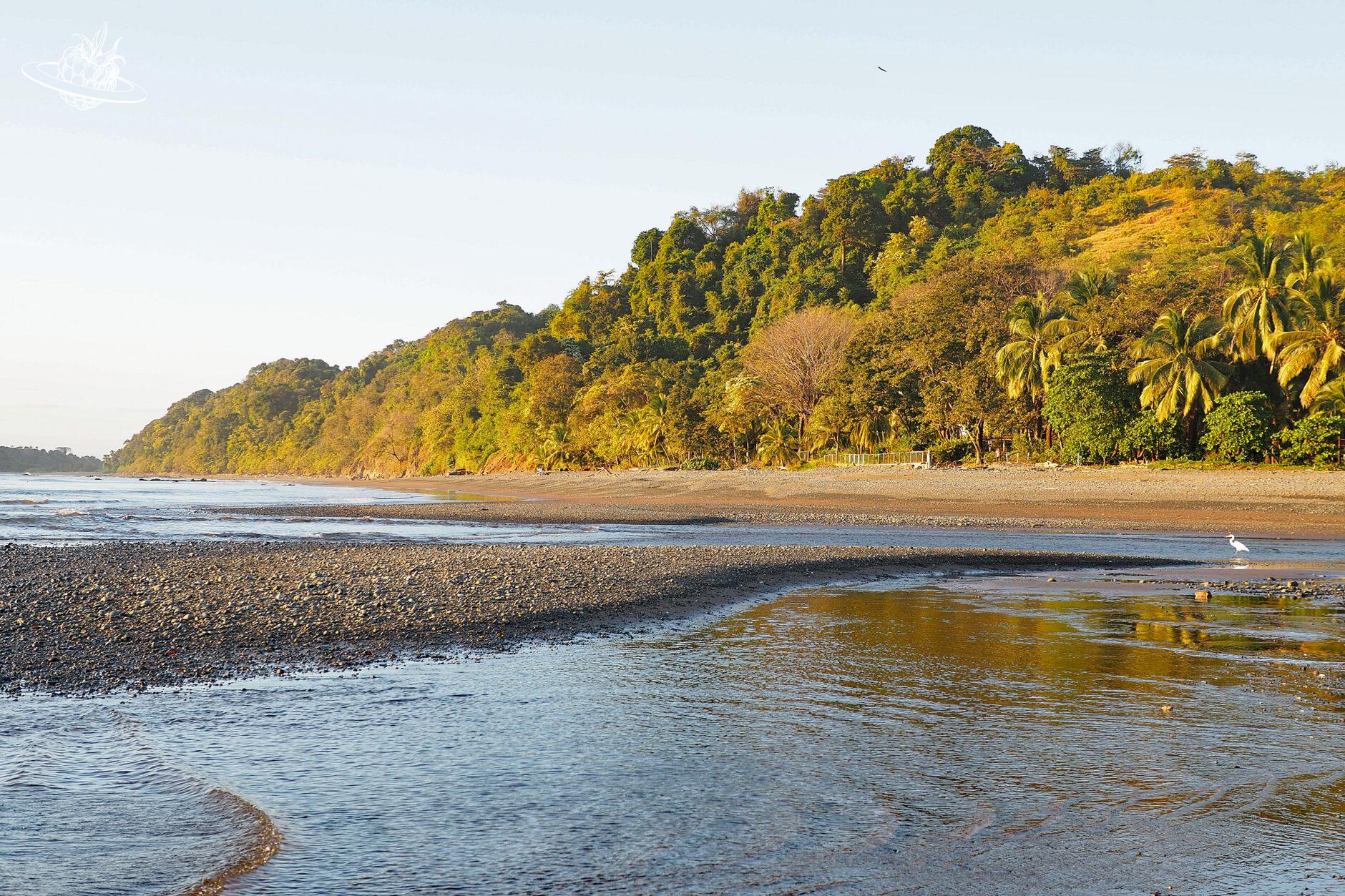 Meer und dunkler Strand
