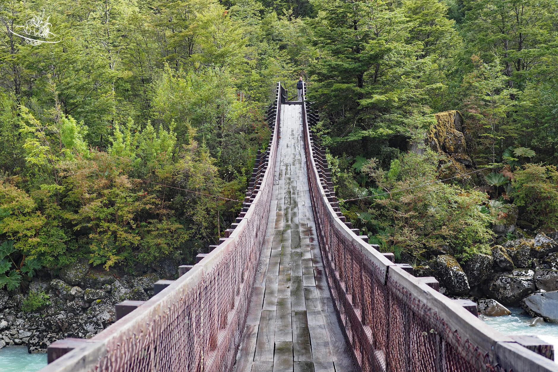 Brücke im Wald