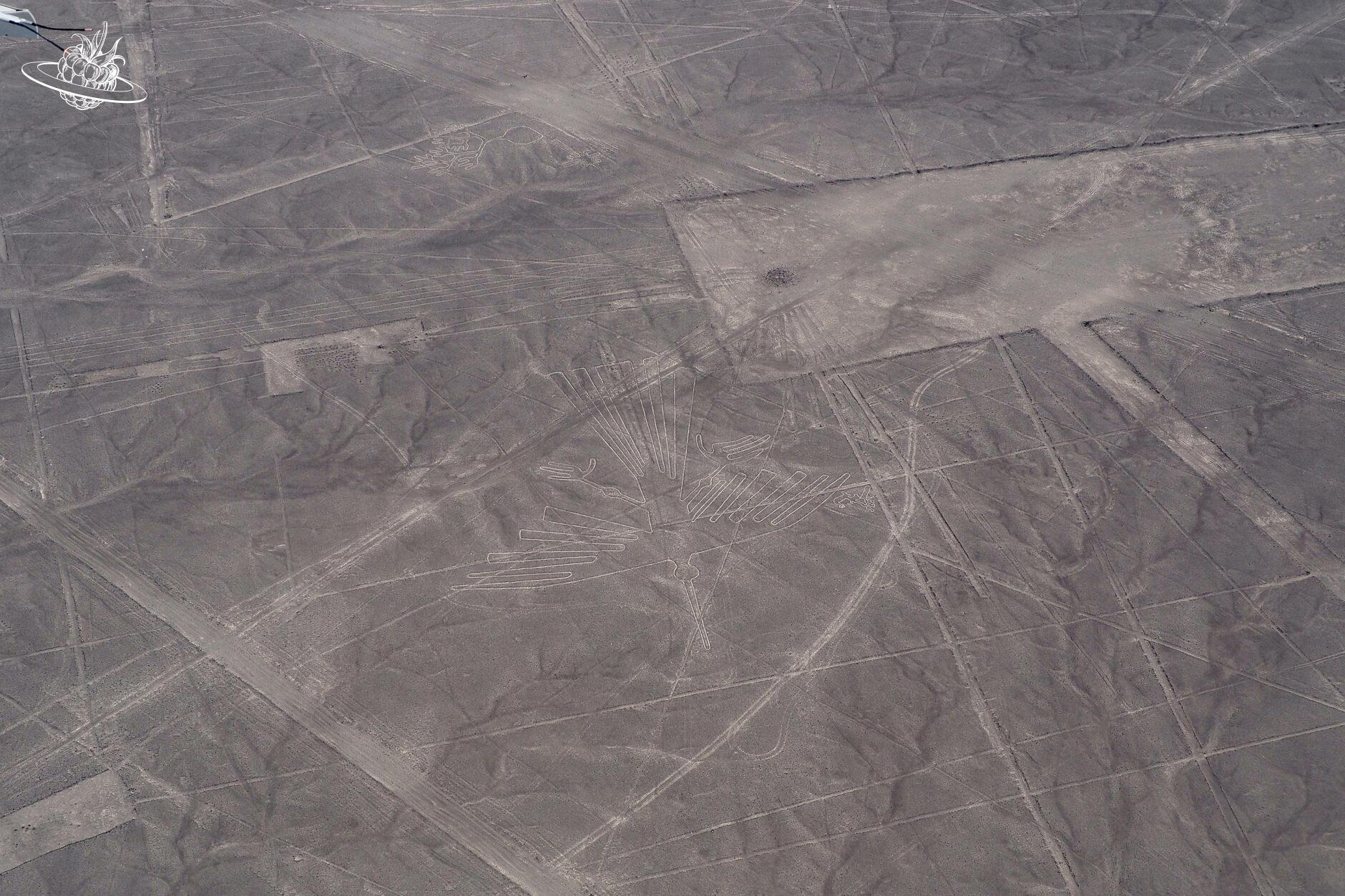 linien auf dem boden