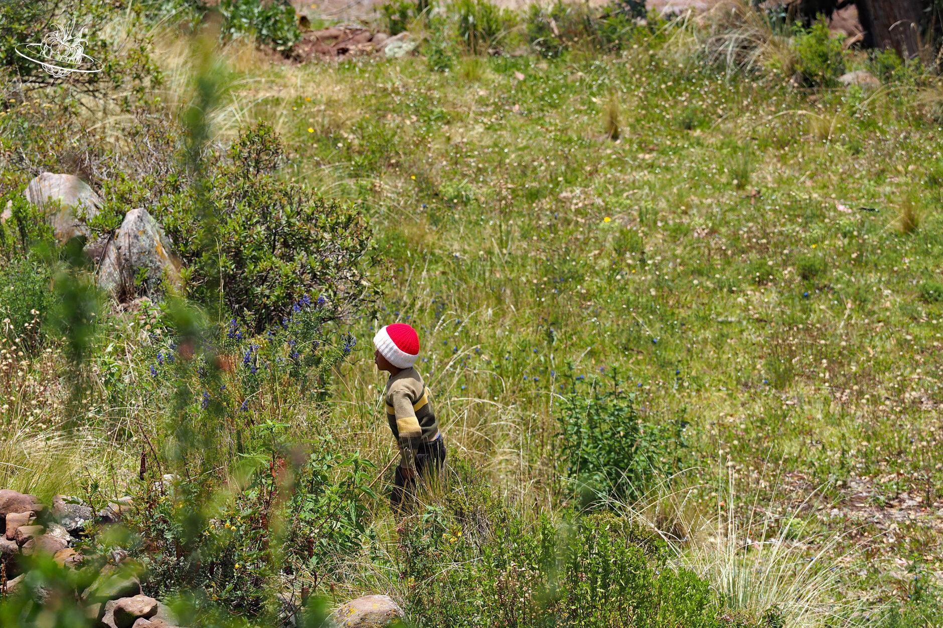 ein kind mit roter mütze im gras