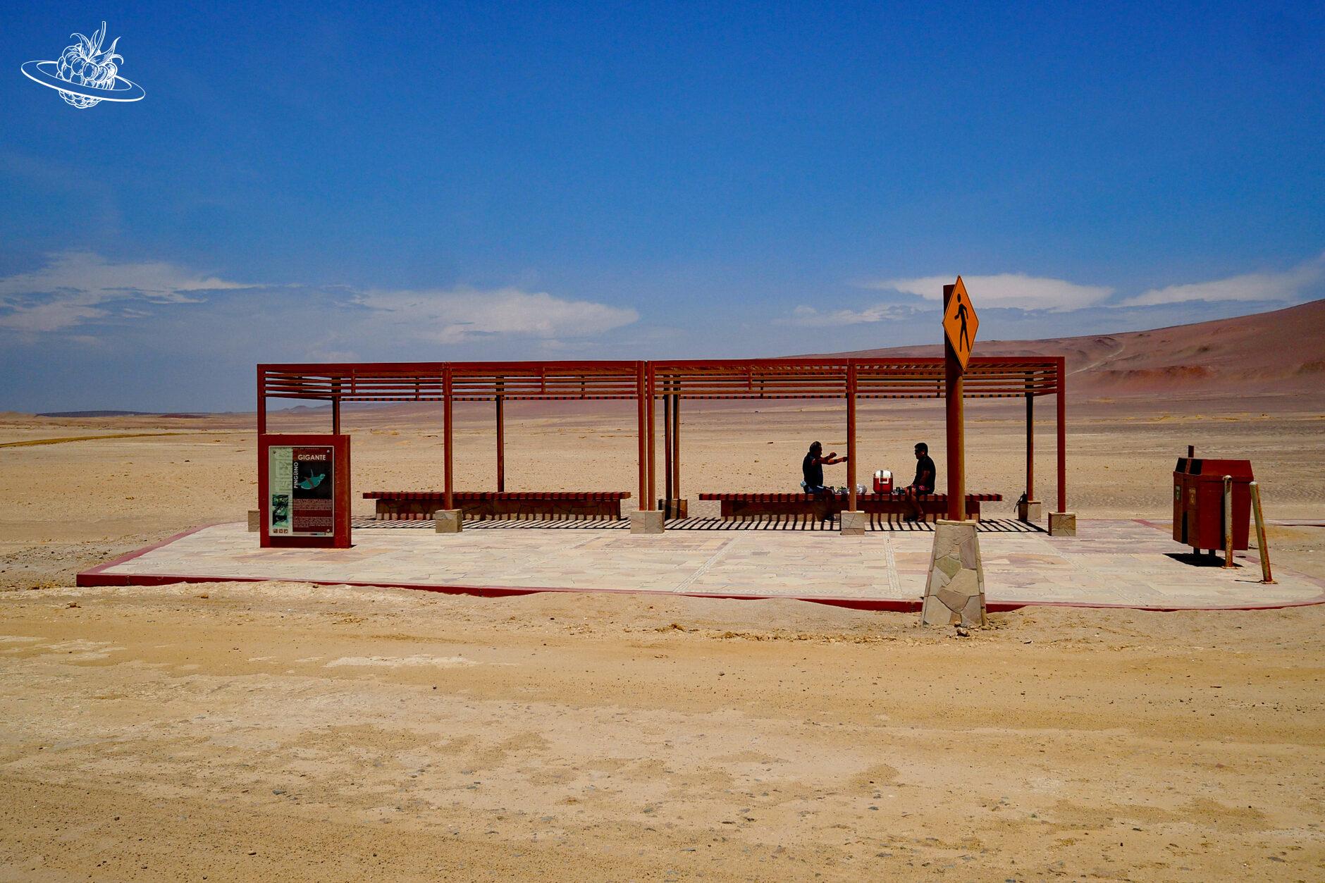 zwei männer philosophieren in der wüste