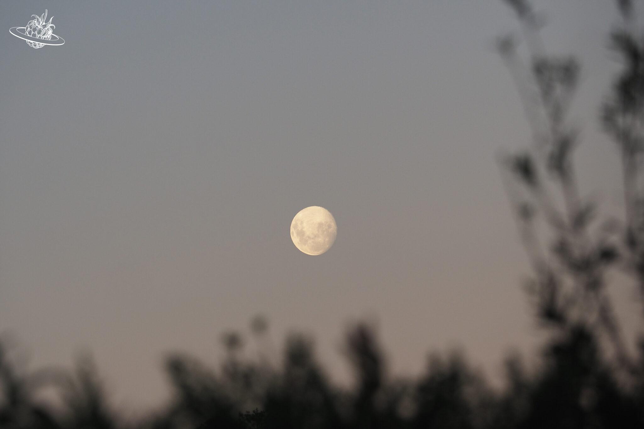 Eine Hommage an das Reisen – Unser Résumé nach 4 Monaten Auszeit