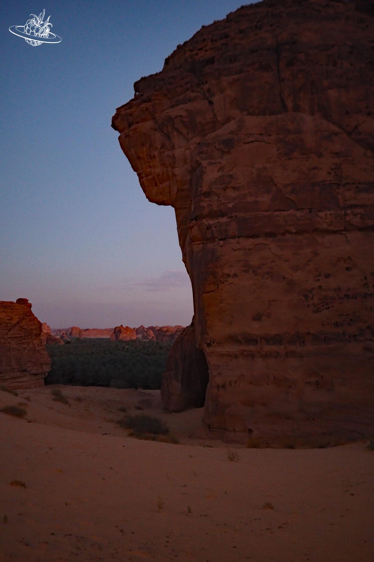 Fels und Palmen und Wüste im Hintergrund